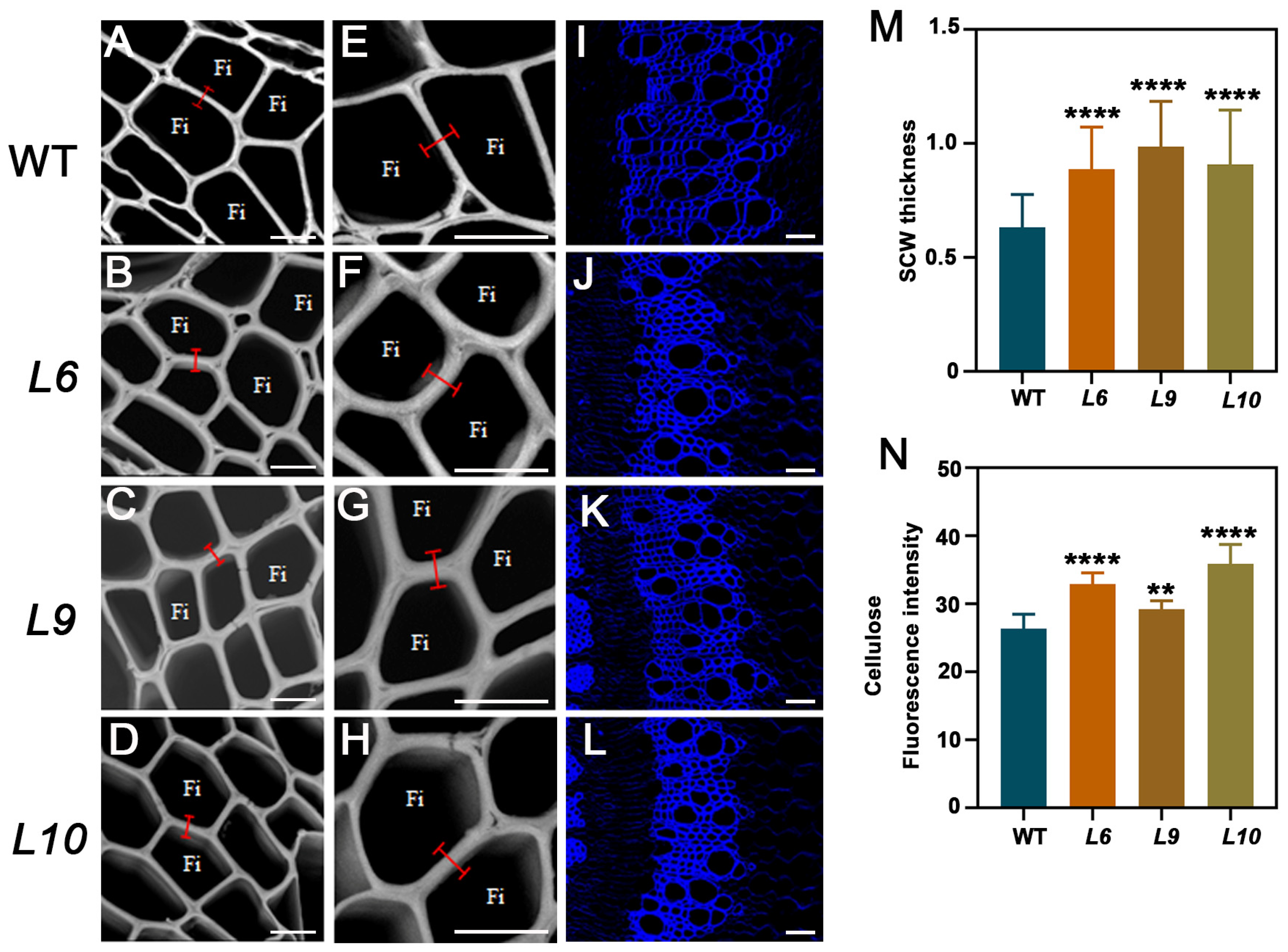 Plants 14 01388 g005