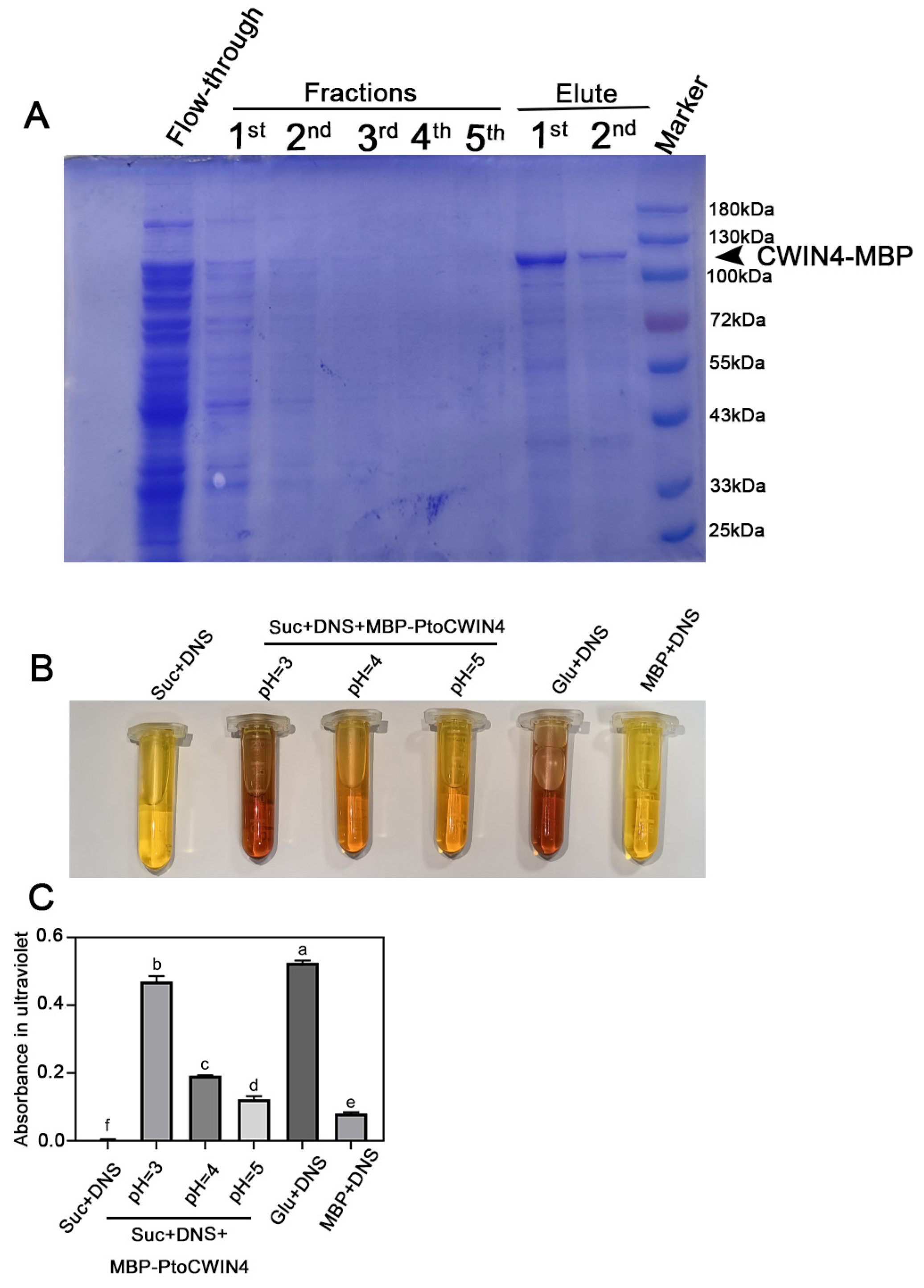 Plants 14 01388 g007