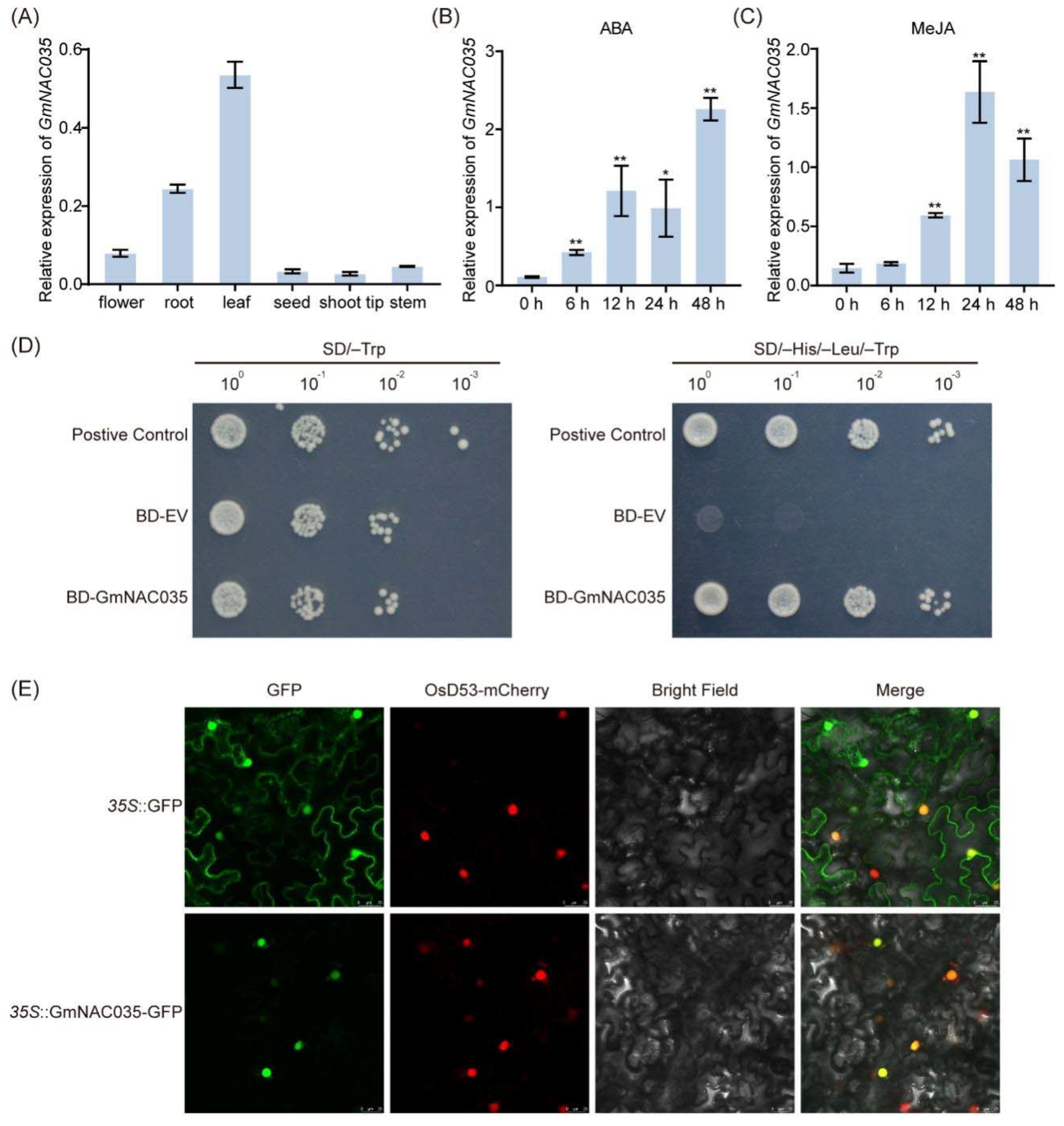 Plants 14 01391 g003