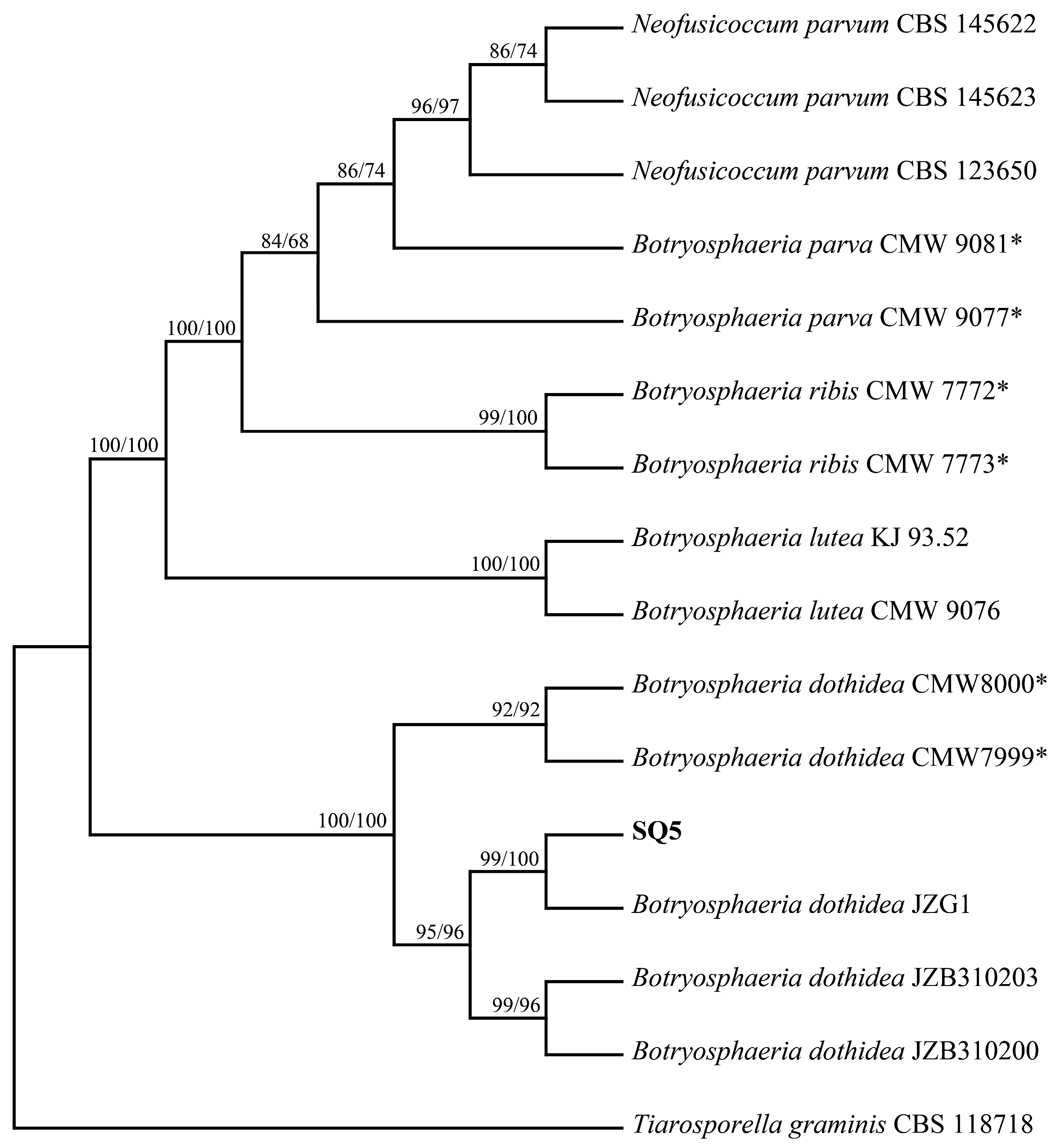Plants 14 01393 g005