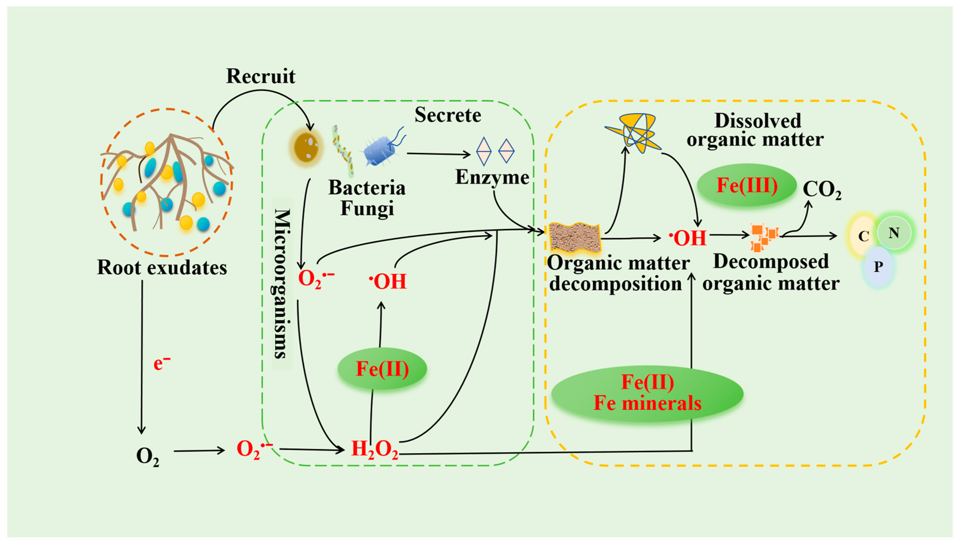 Plants 14 01395 g002