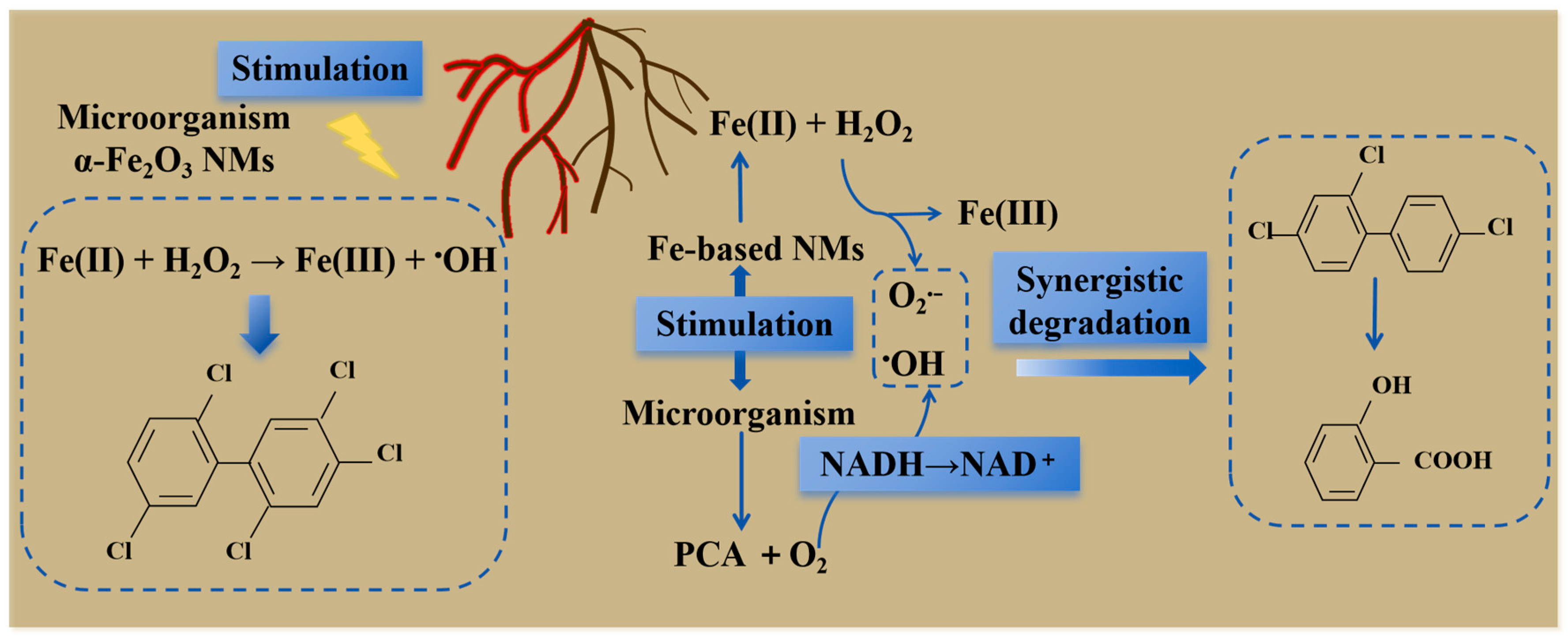 Plants 14 01395 g003