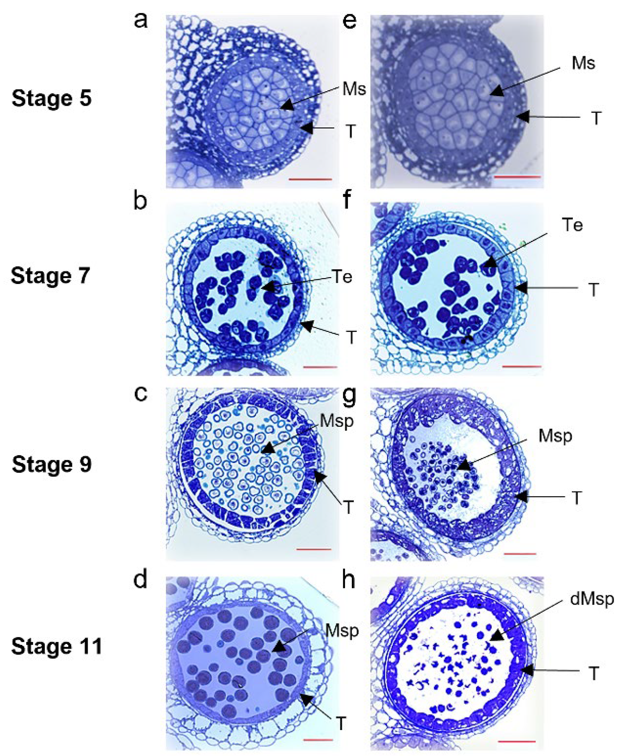 Plants 14 01397 g002