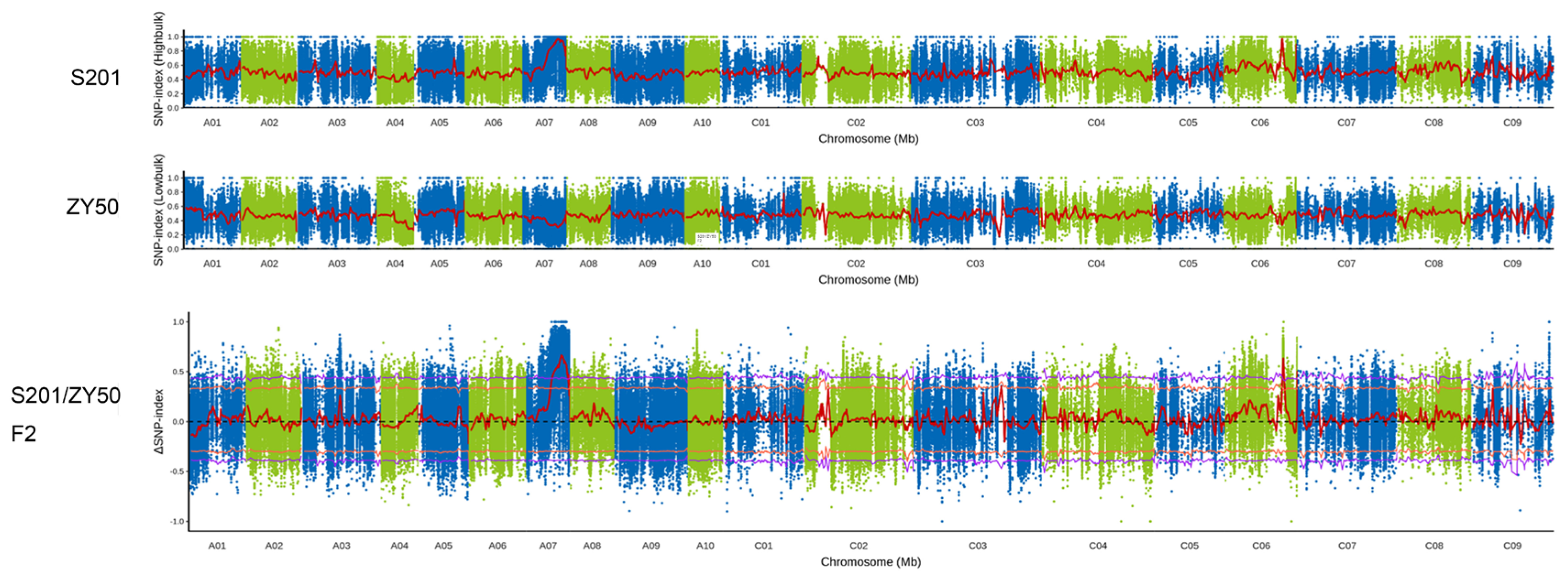 Plants 14 01397 g004