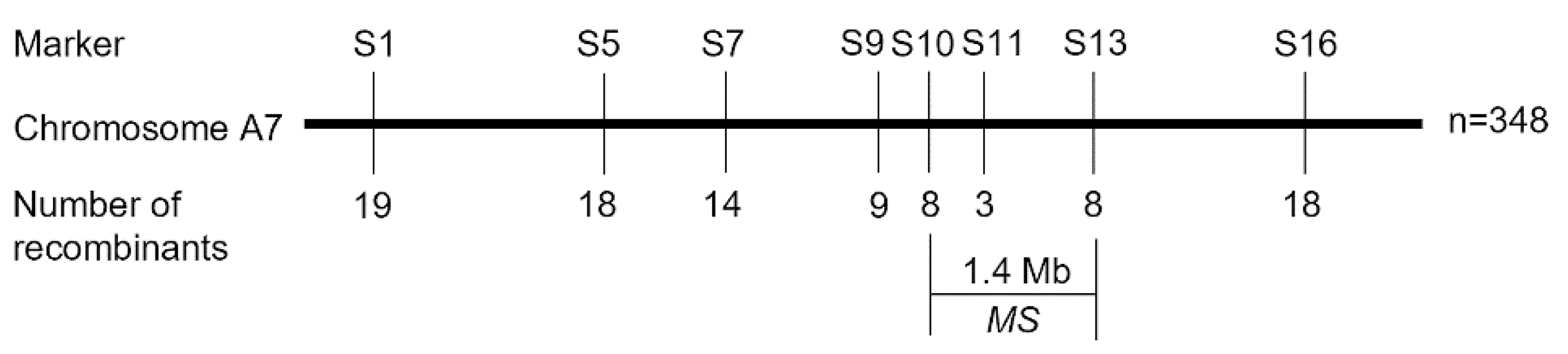 Plants 14 01397 g005