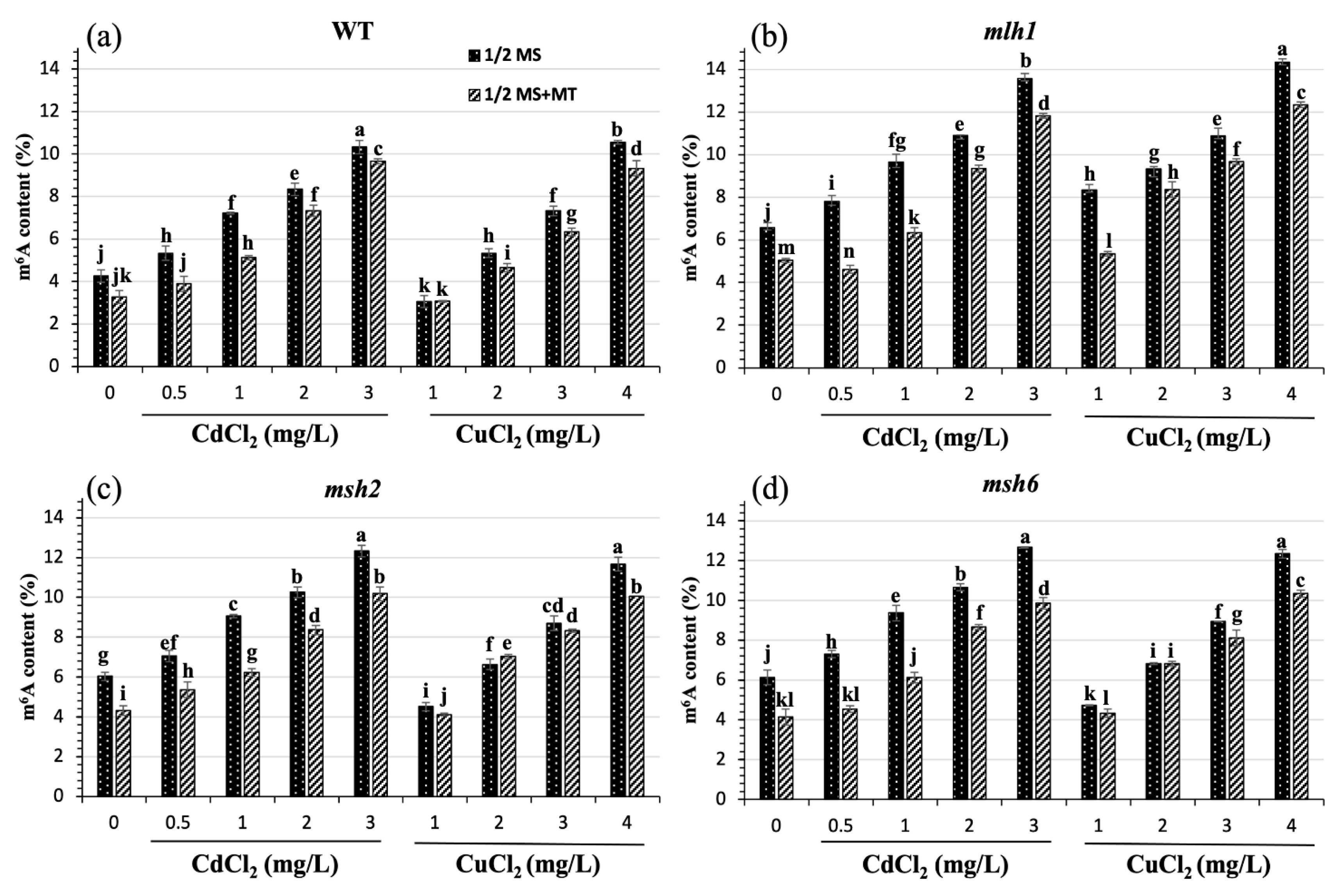Plants 14 01398 g003