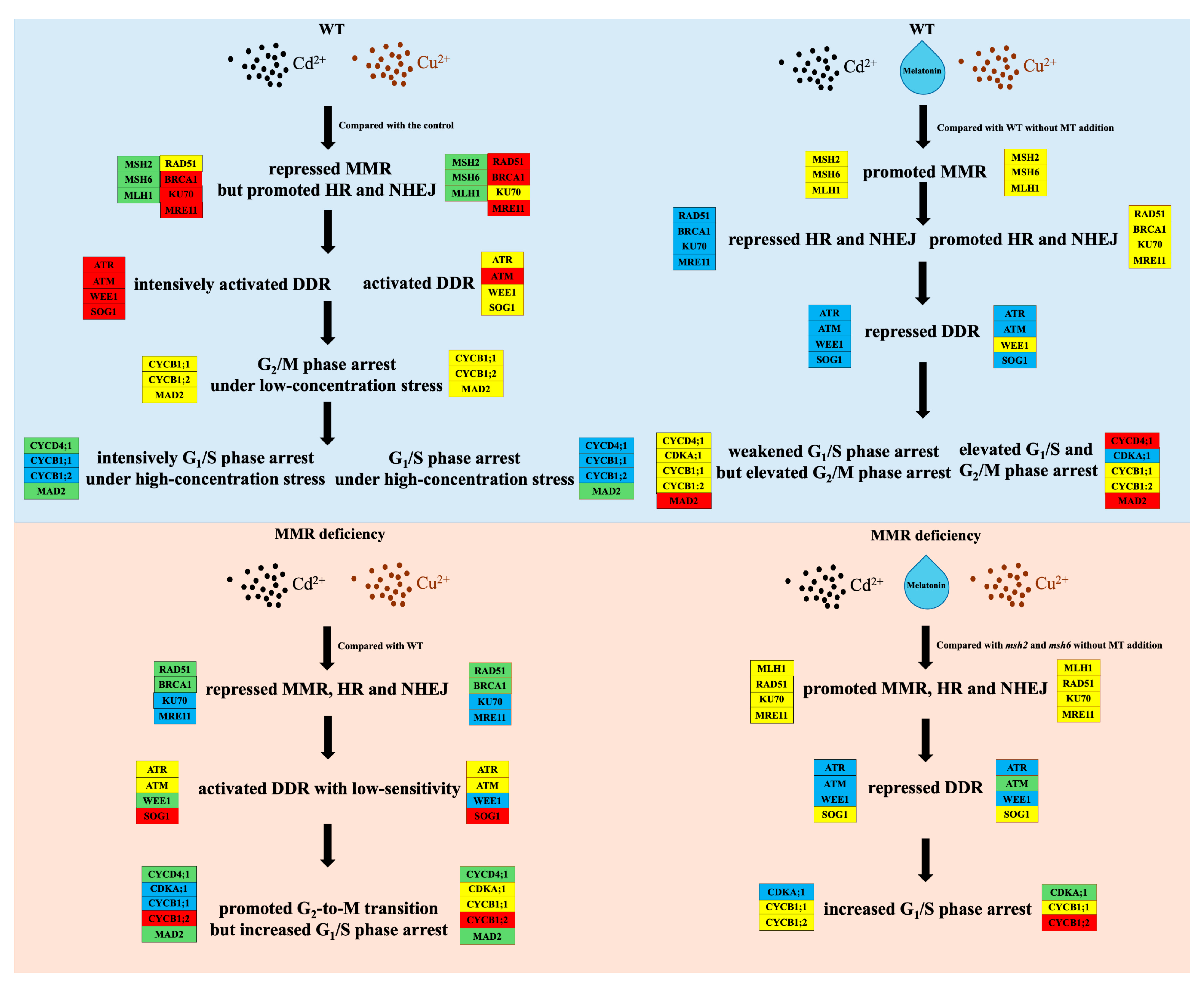 Plants 14 01398 g008