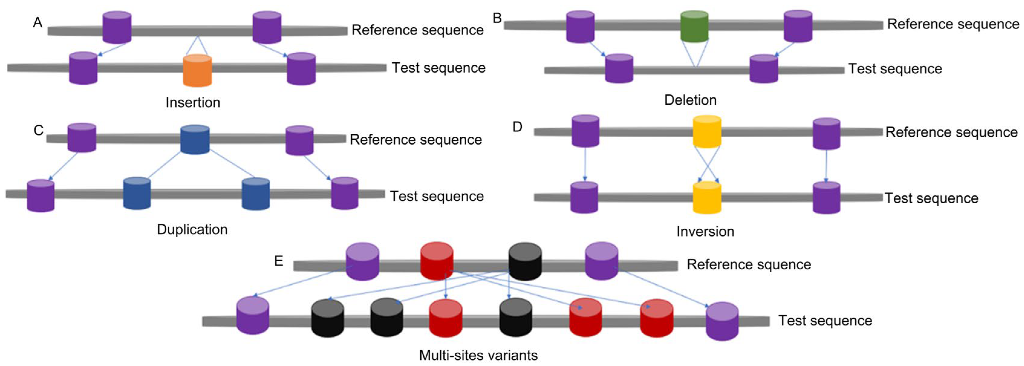 Plants 14 01399 g001