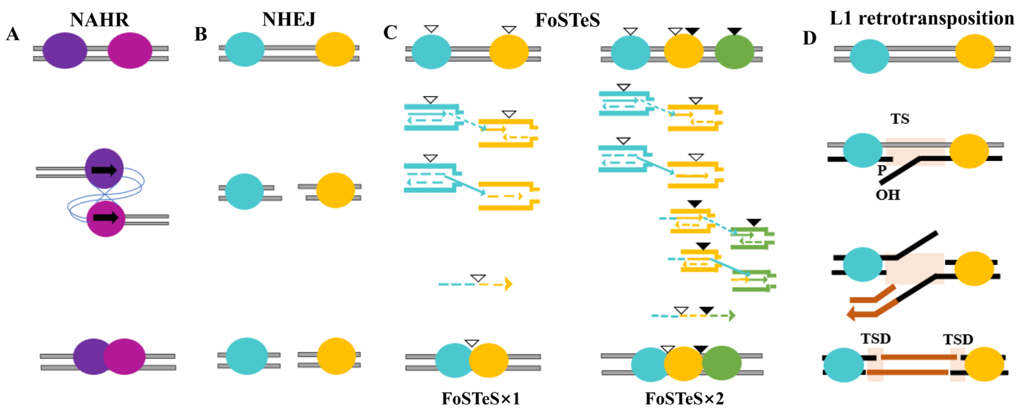 Plants 14 01399 g002