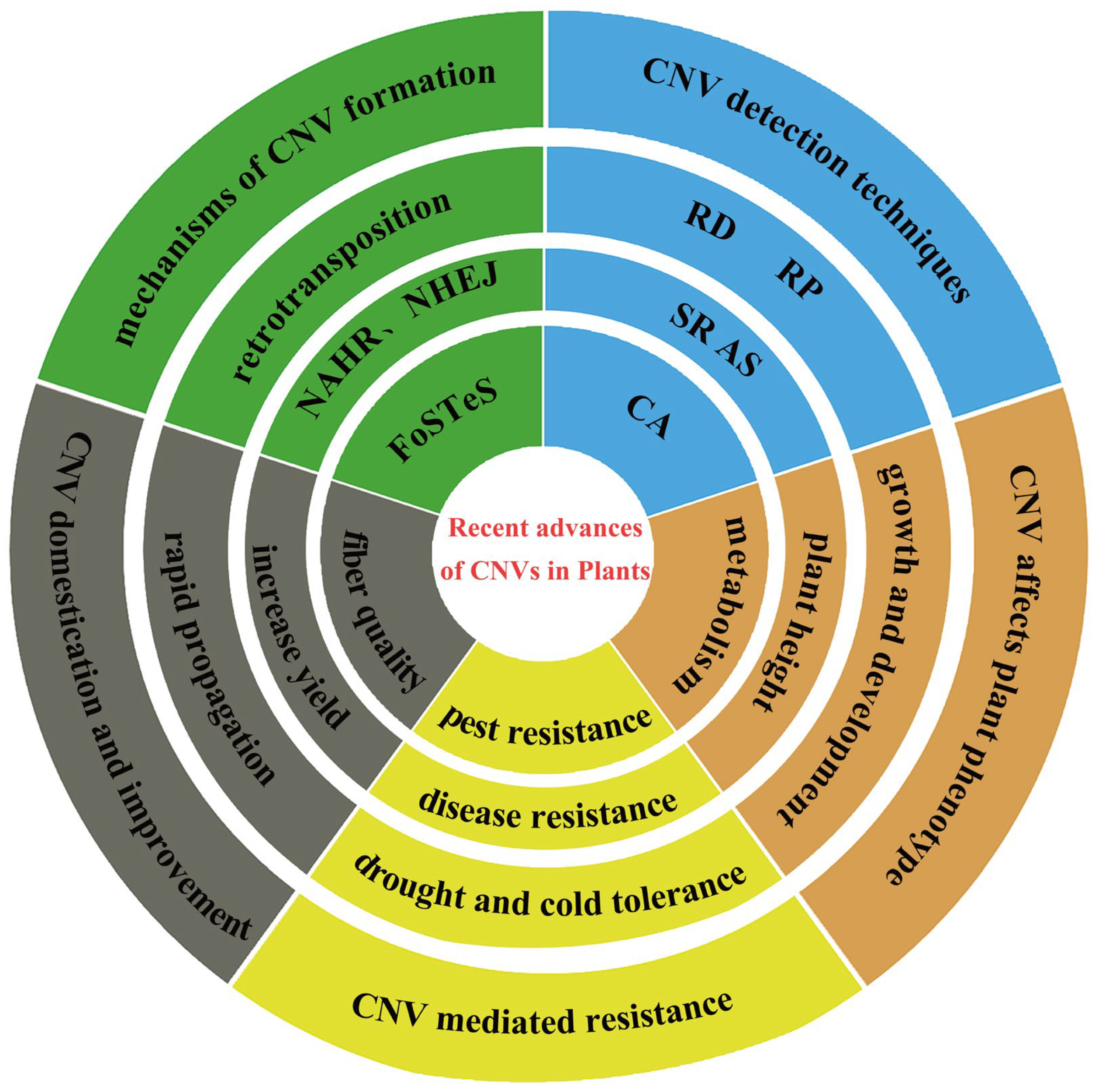 Plants 14 01399 g003