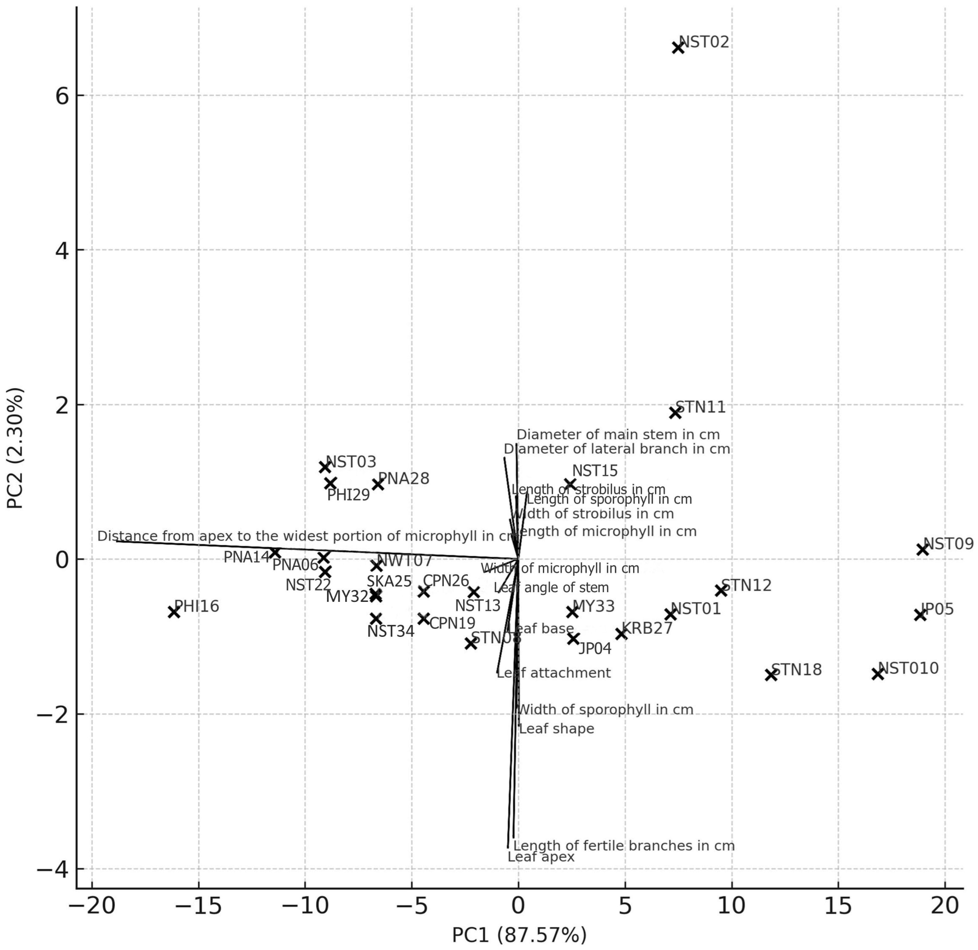 Plants 14 01400 g001