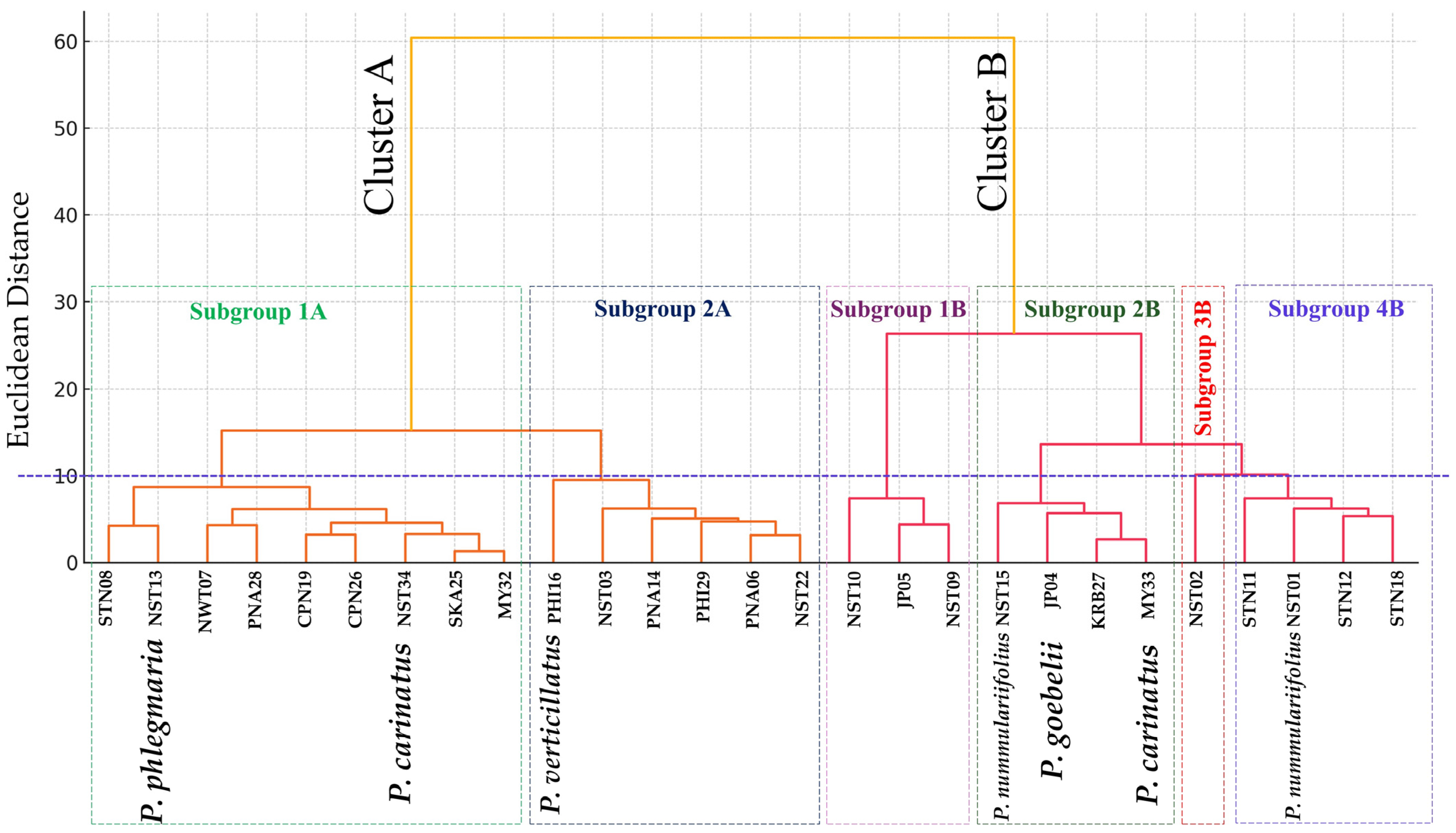 Plants 14 01400 g002