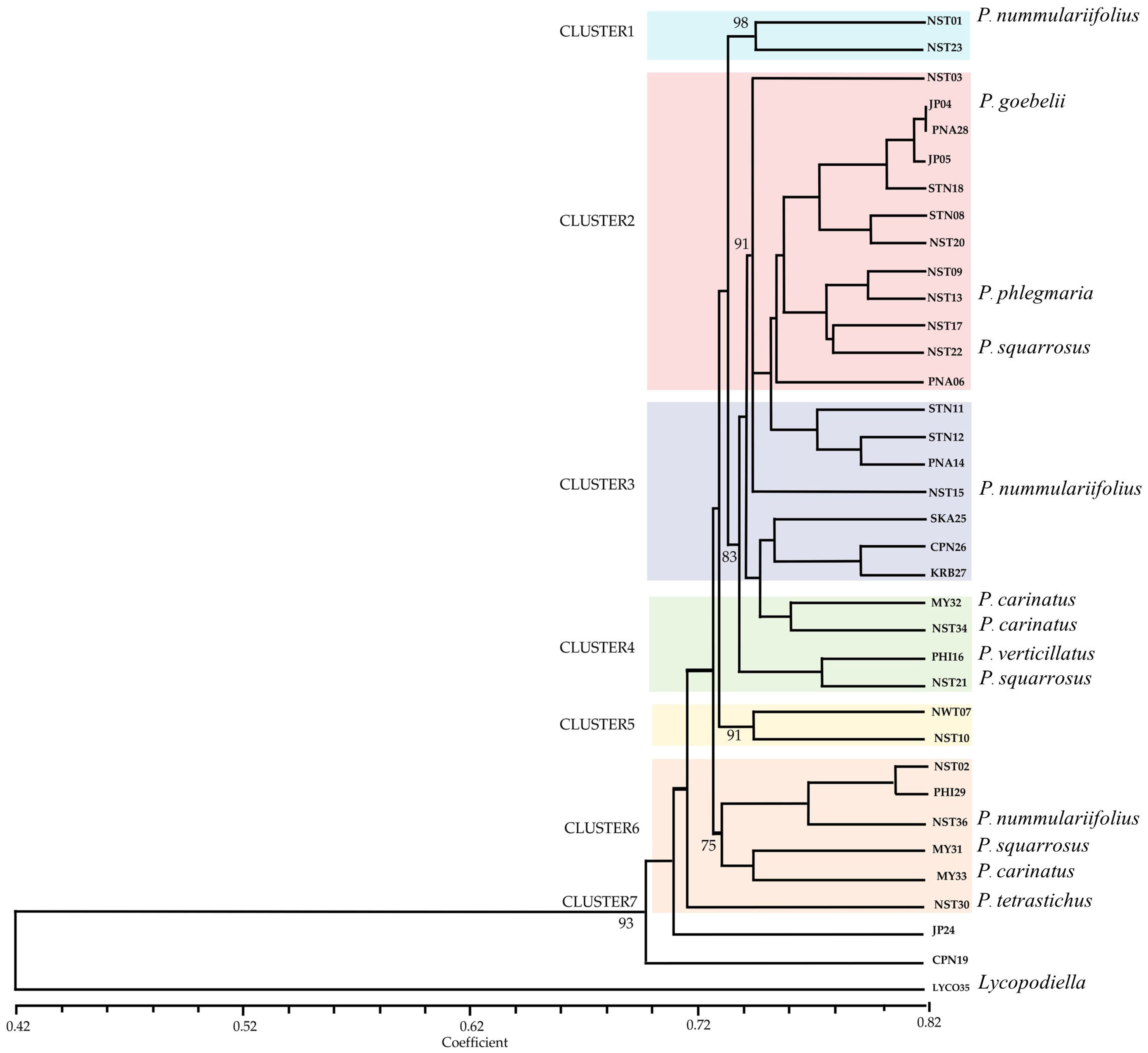 Plants 14 01400 g003