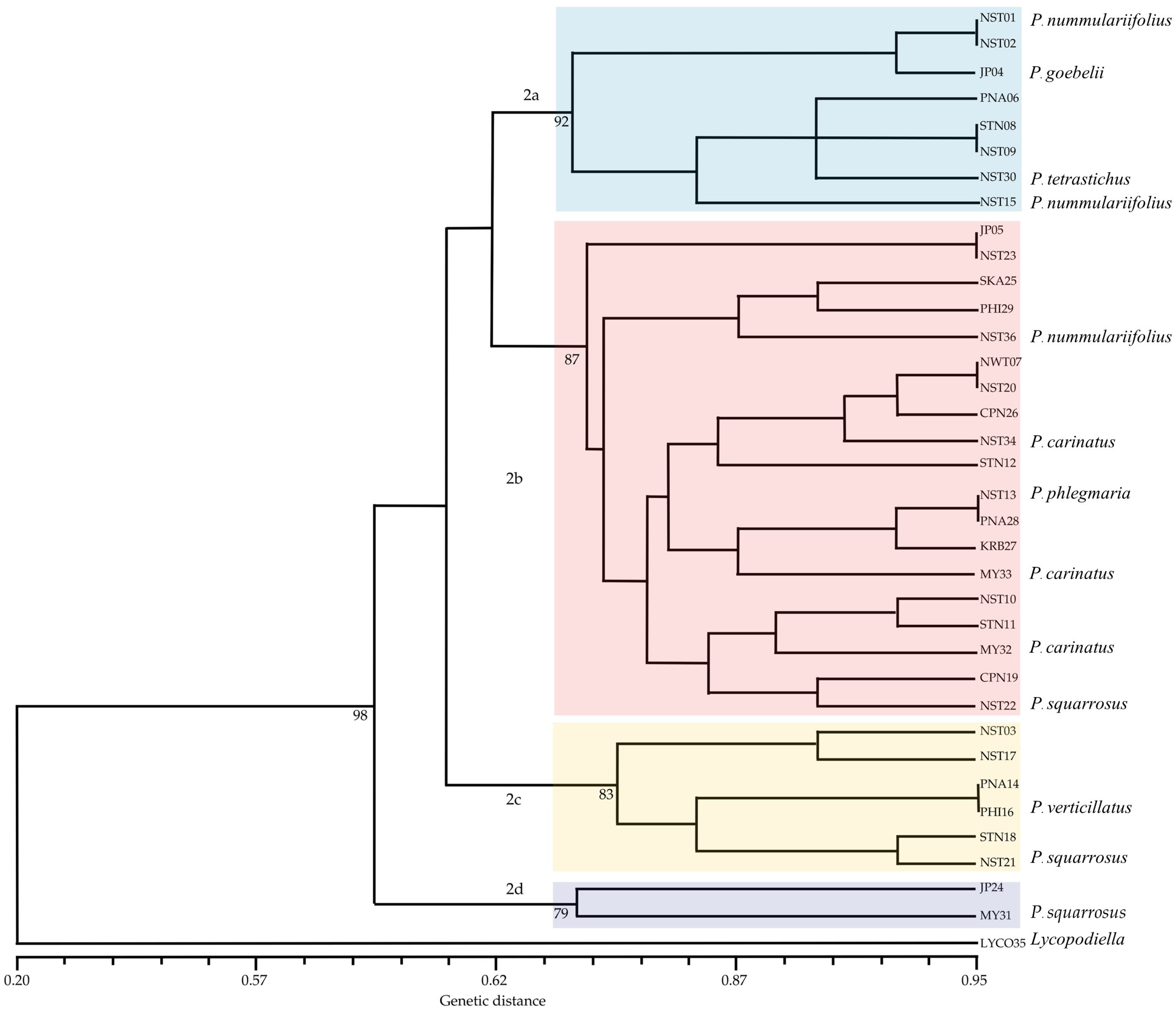 Plants 14 01400 g005