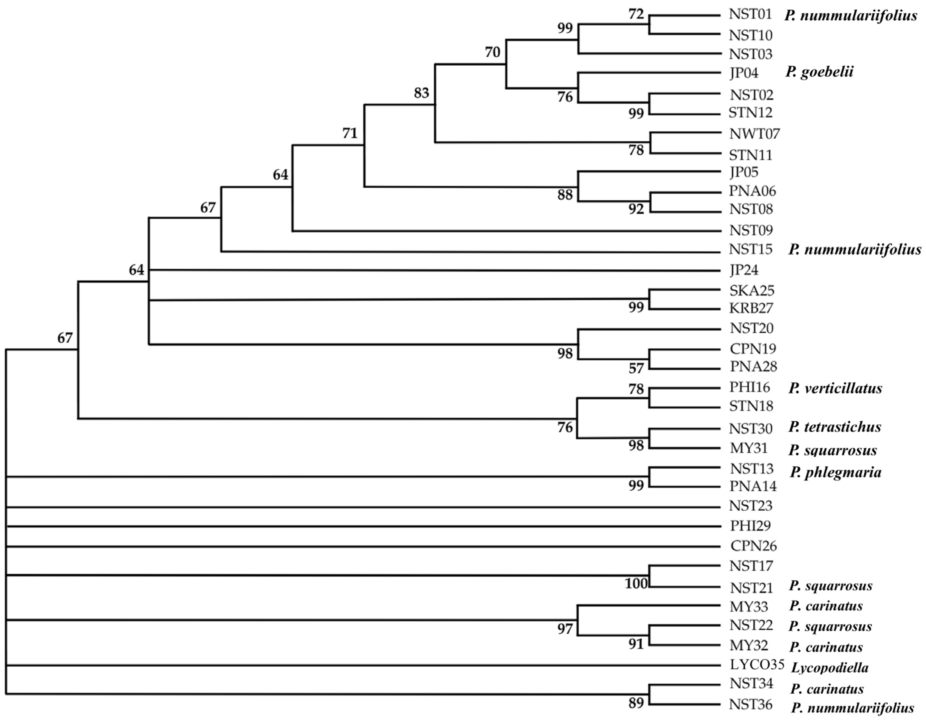 Plants 14 01400 g007