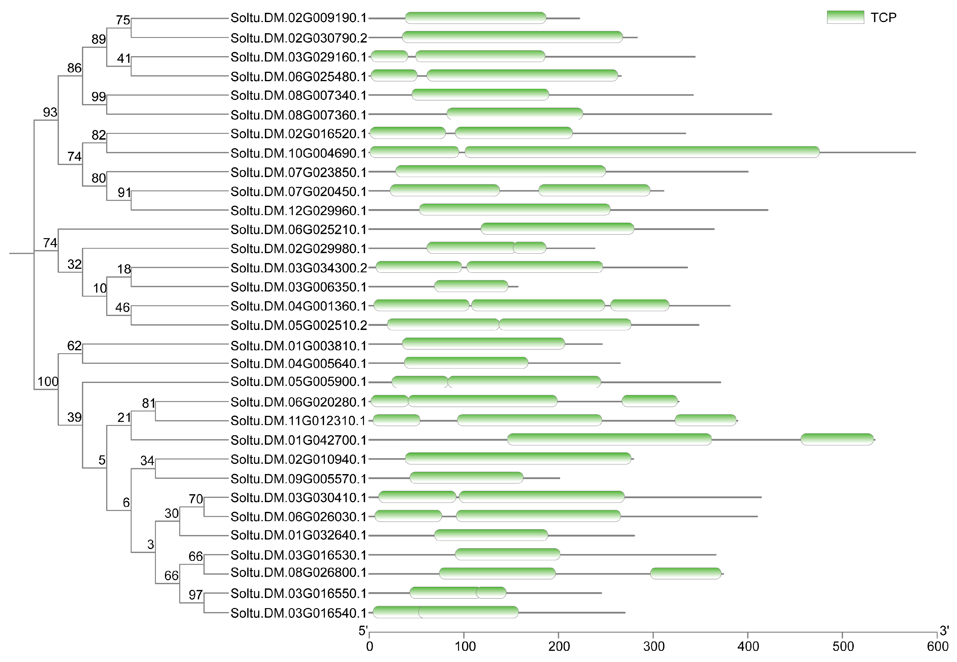 Plants 14 01403 g001