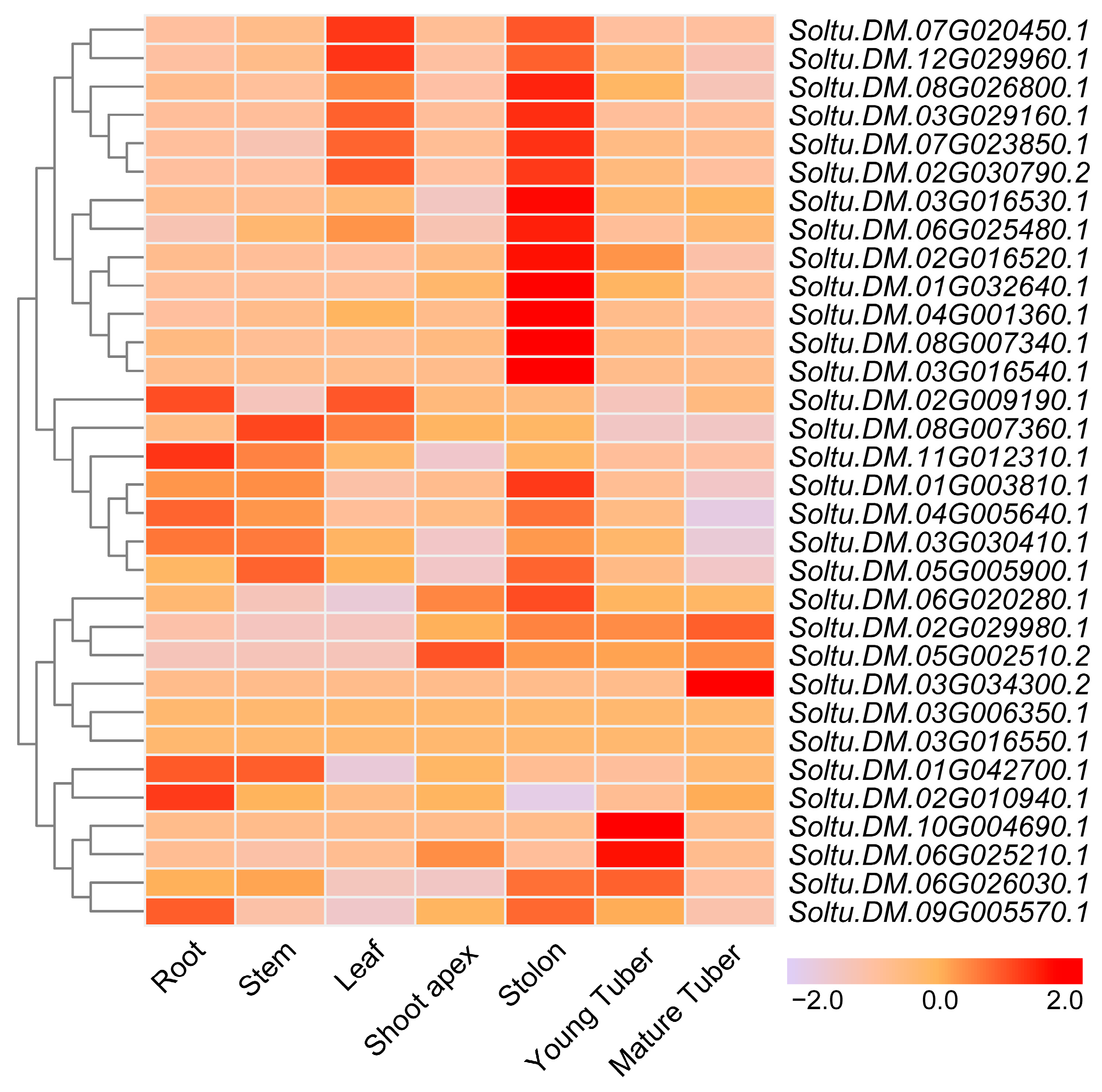 Plants 14 01403 g003