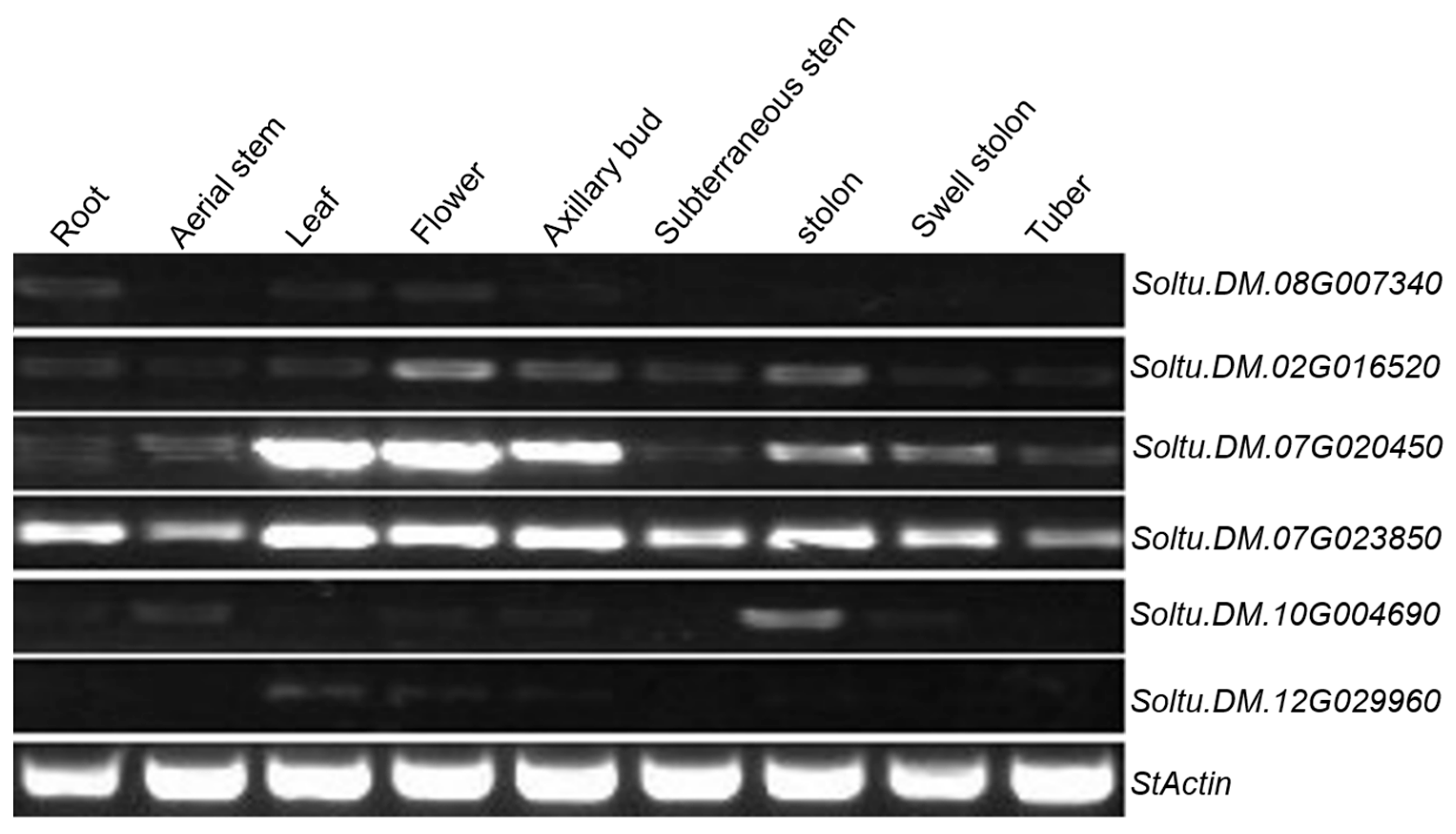 Plants 14 01403 g005