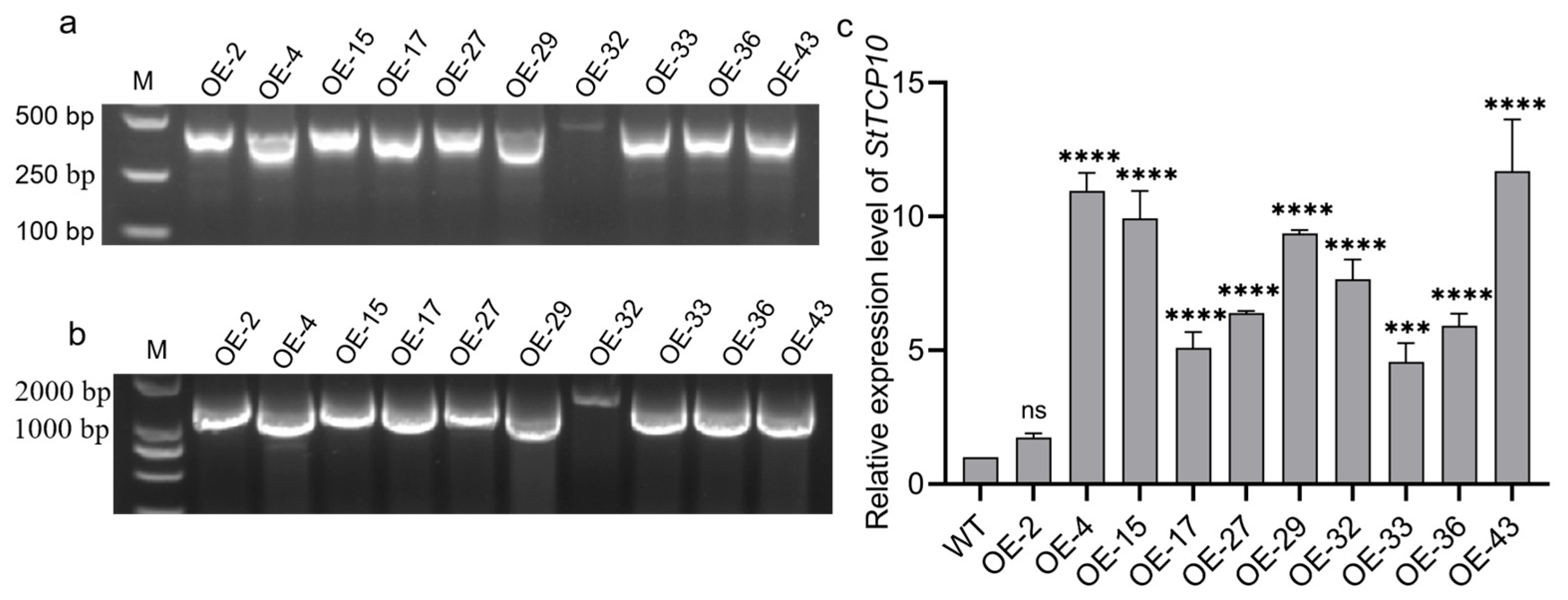 Plants 14 01403 g006