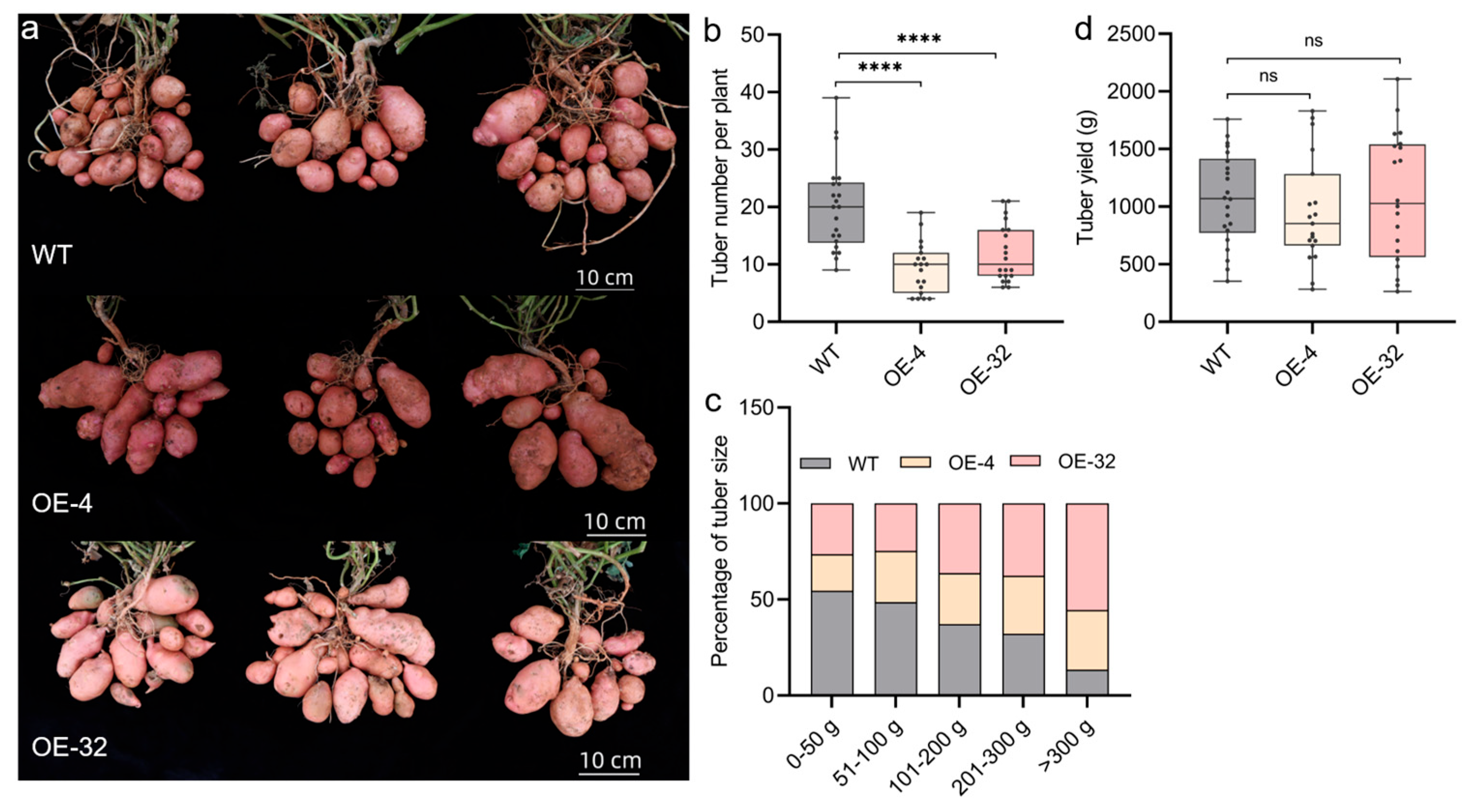 Plants 14 01403 g007