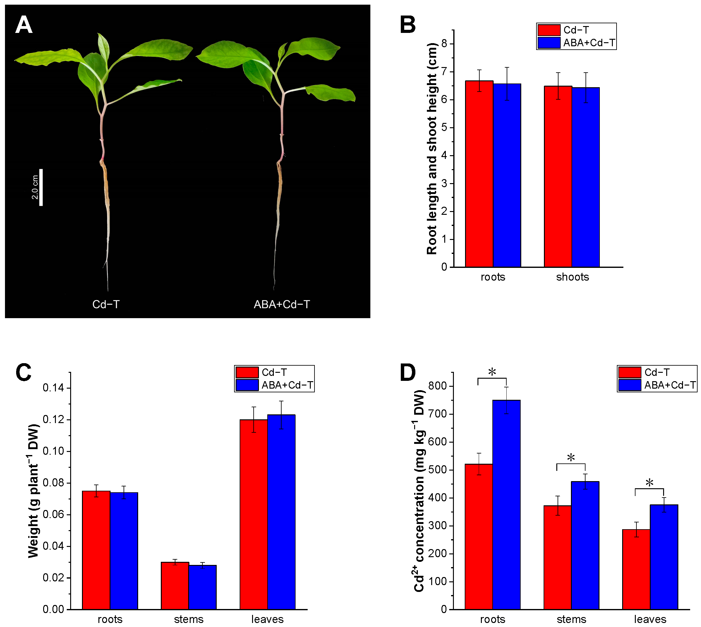 Plants 14 01405 g001