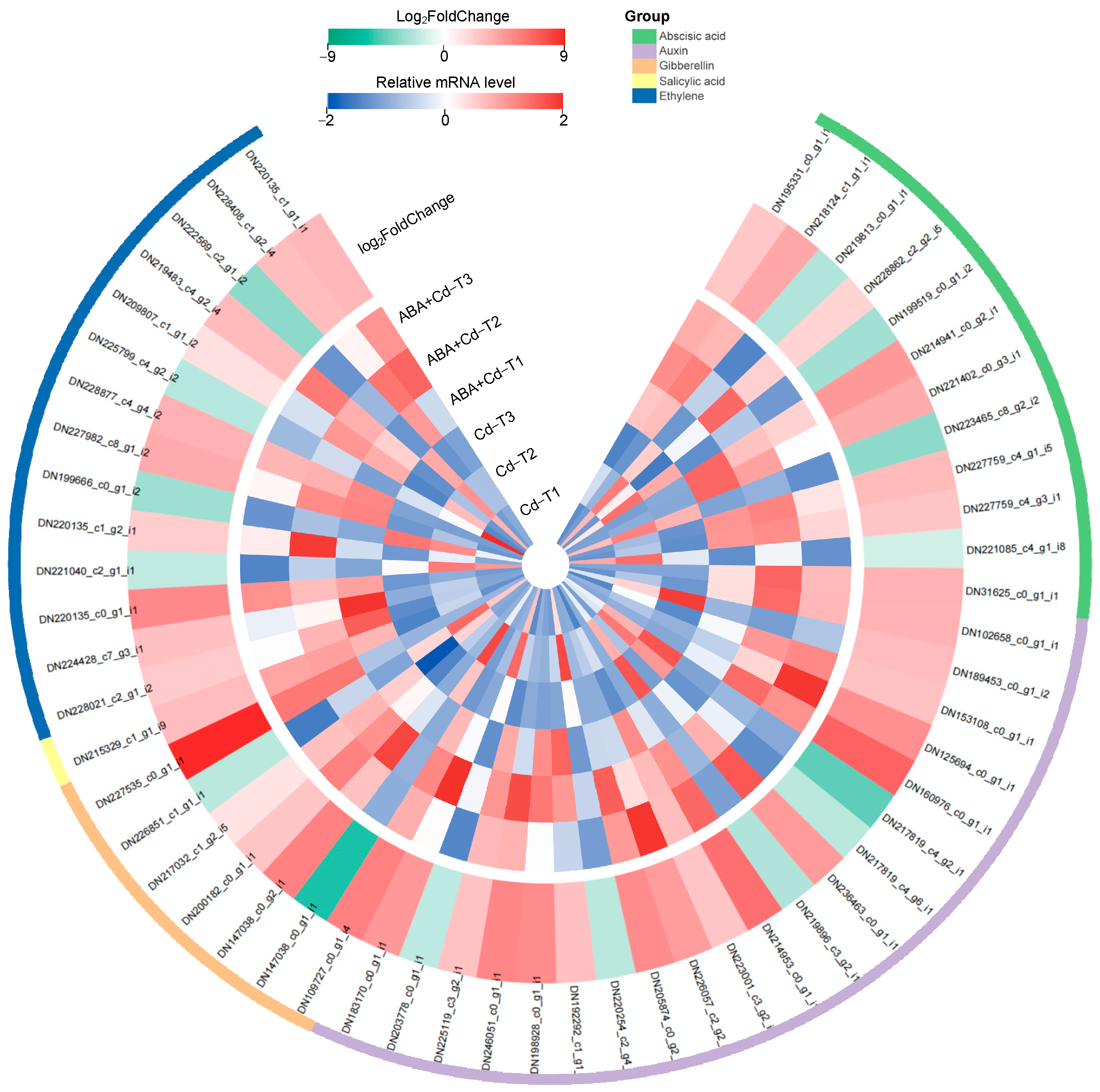Plants 14 01405 g006