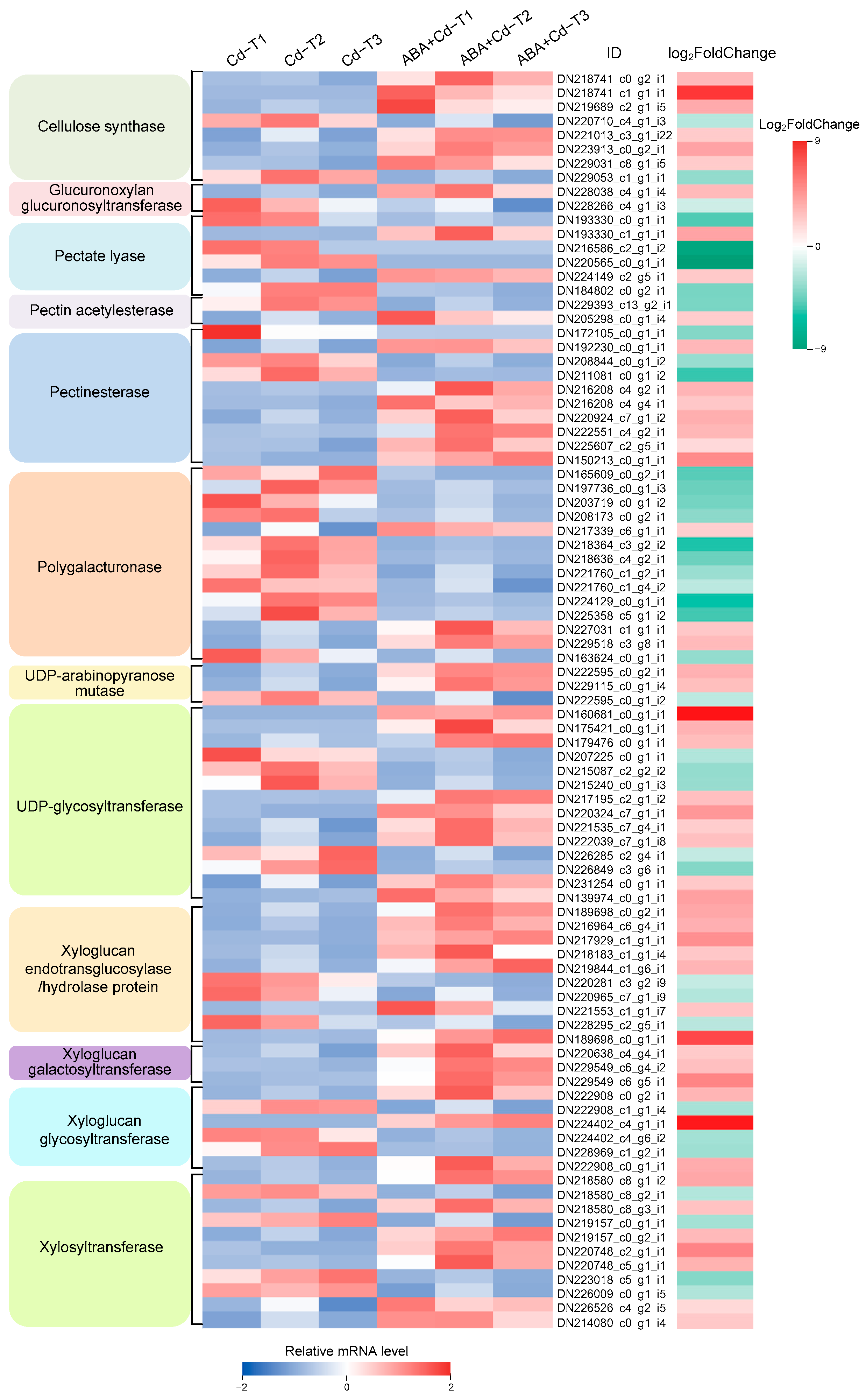 Plants 14 01405 g007