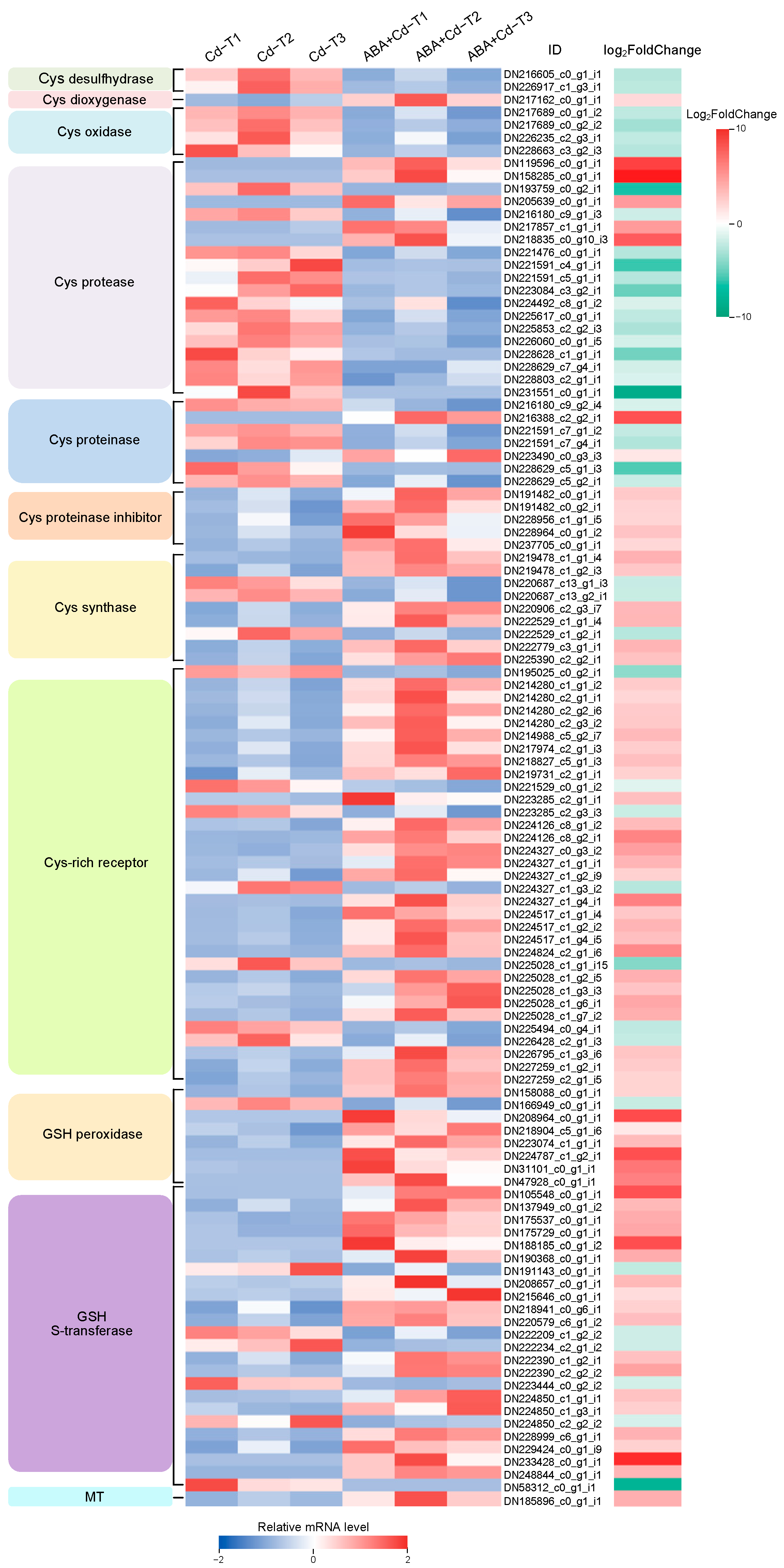 Plants 14 01405 g008