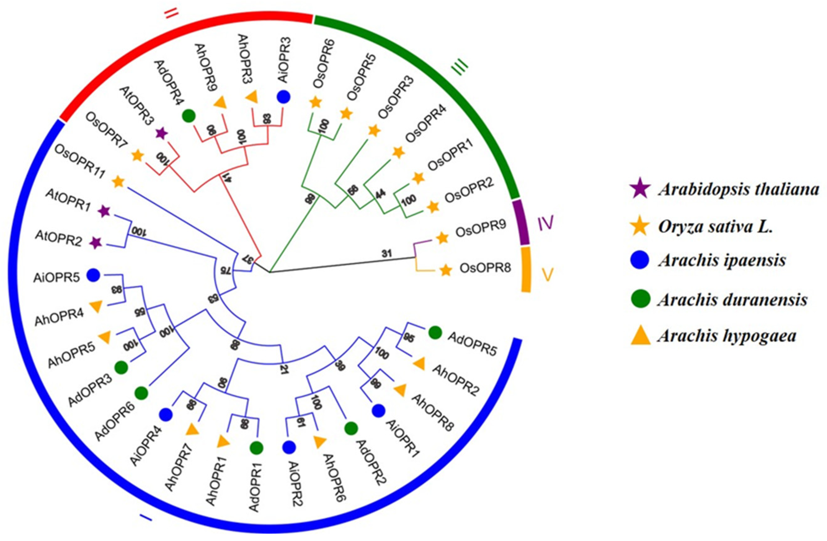 Plants 14 01408 g001