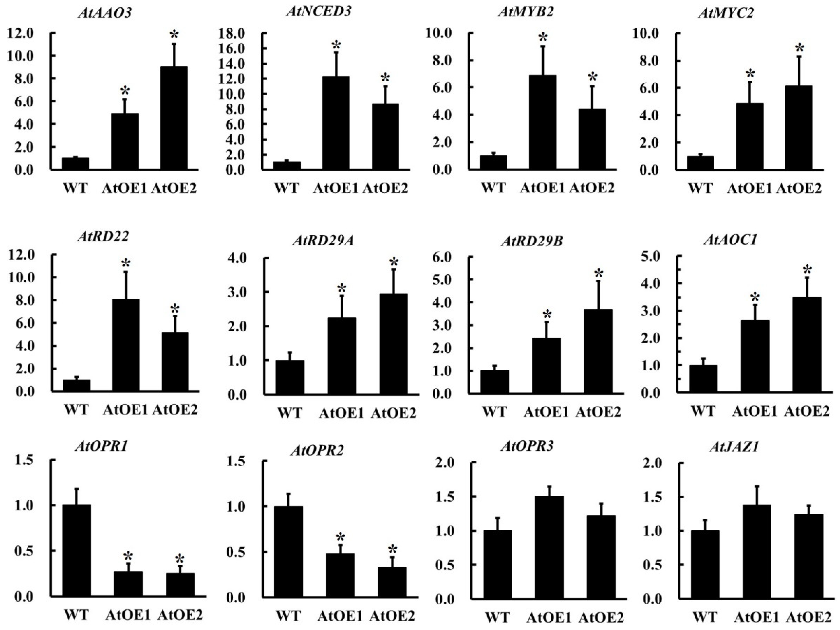 Plants 14 01408 g010