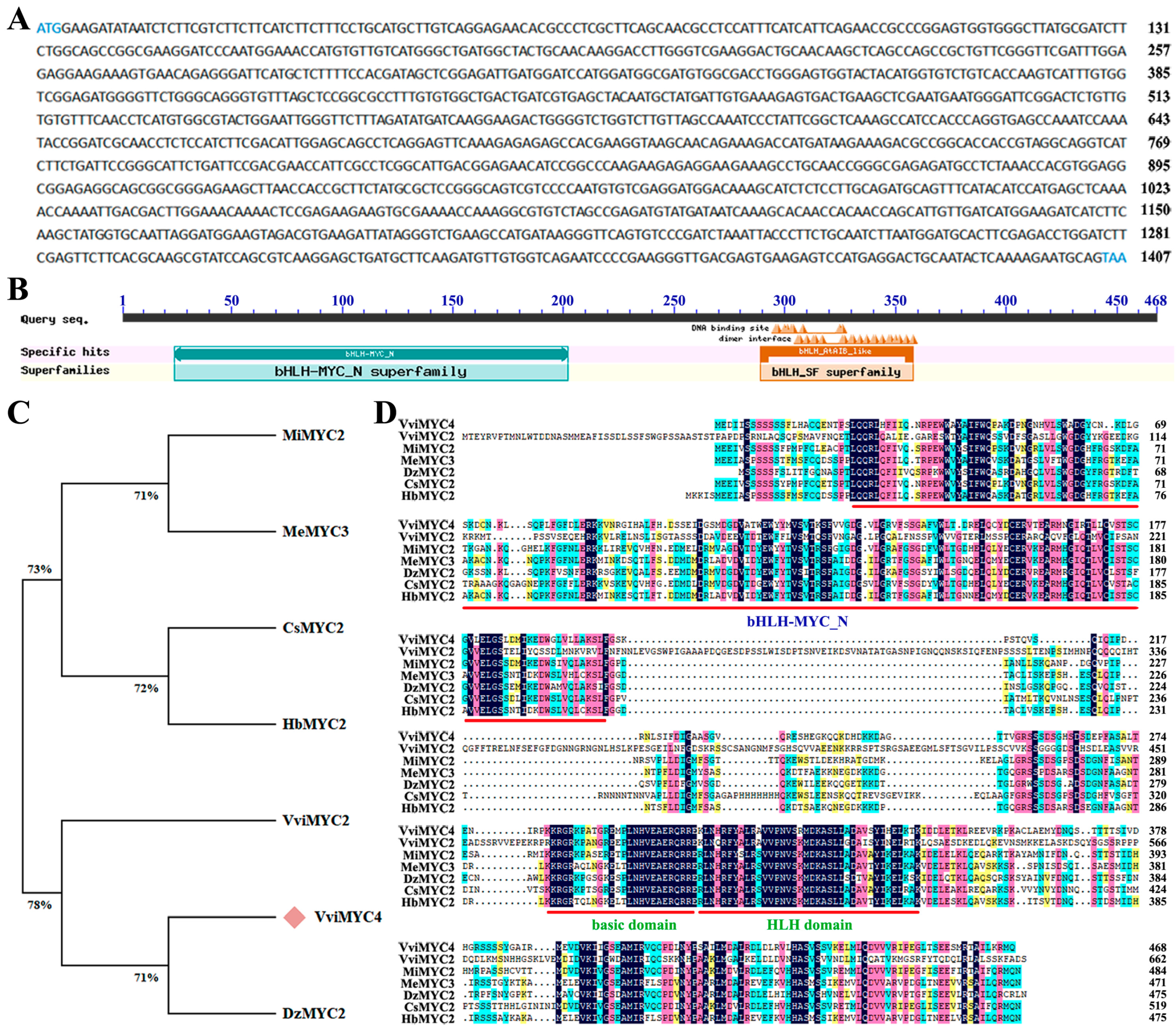 Plants 14 01409 g001
