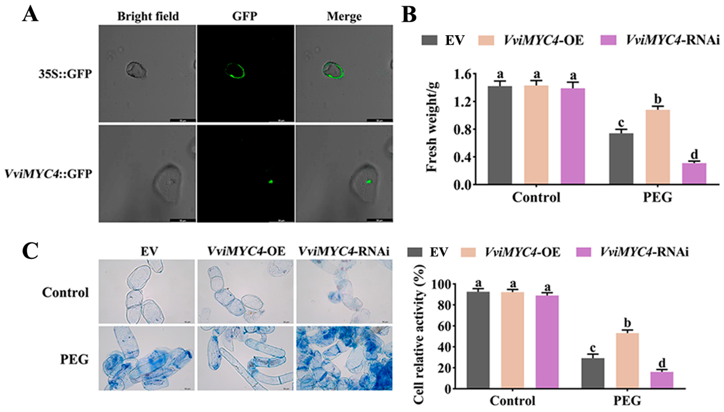 Plants 14 01409 g003