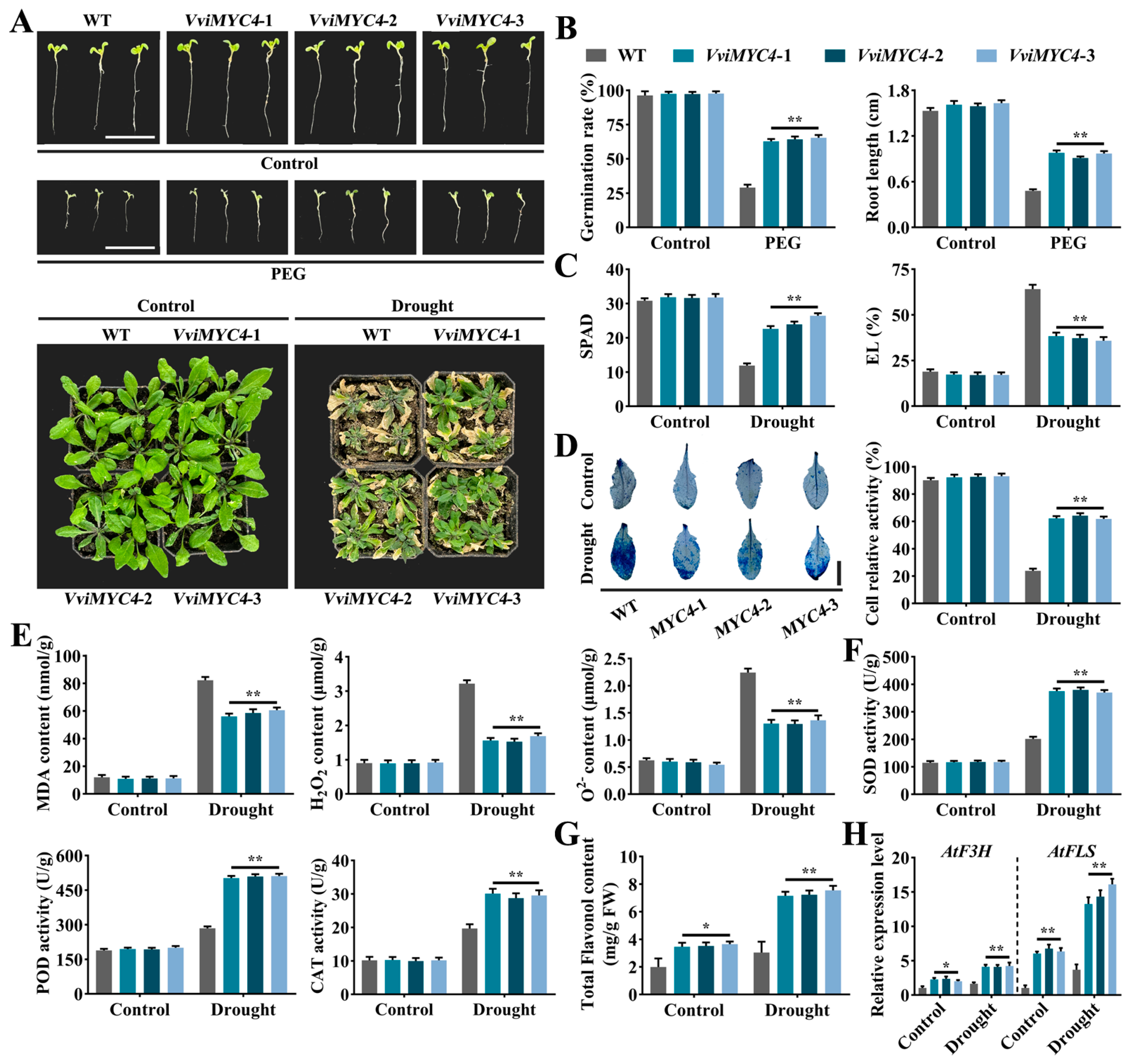 Plants 14 01409 g005