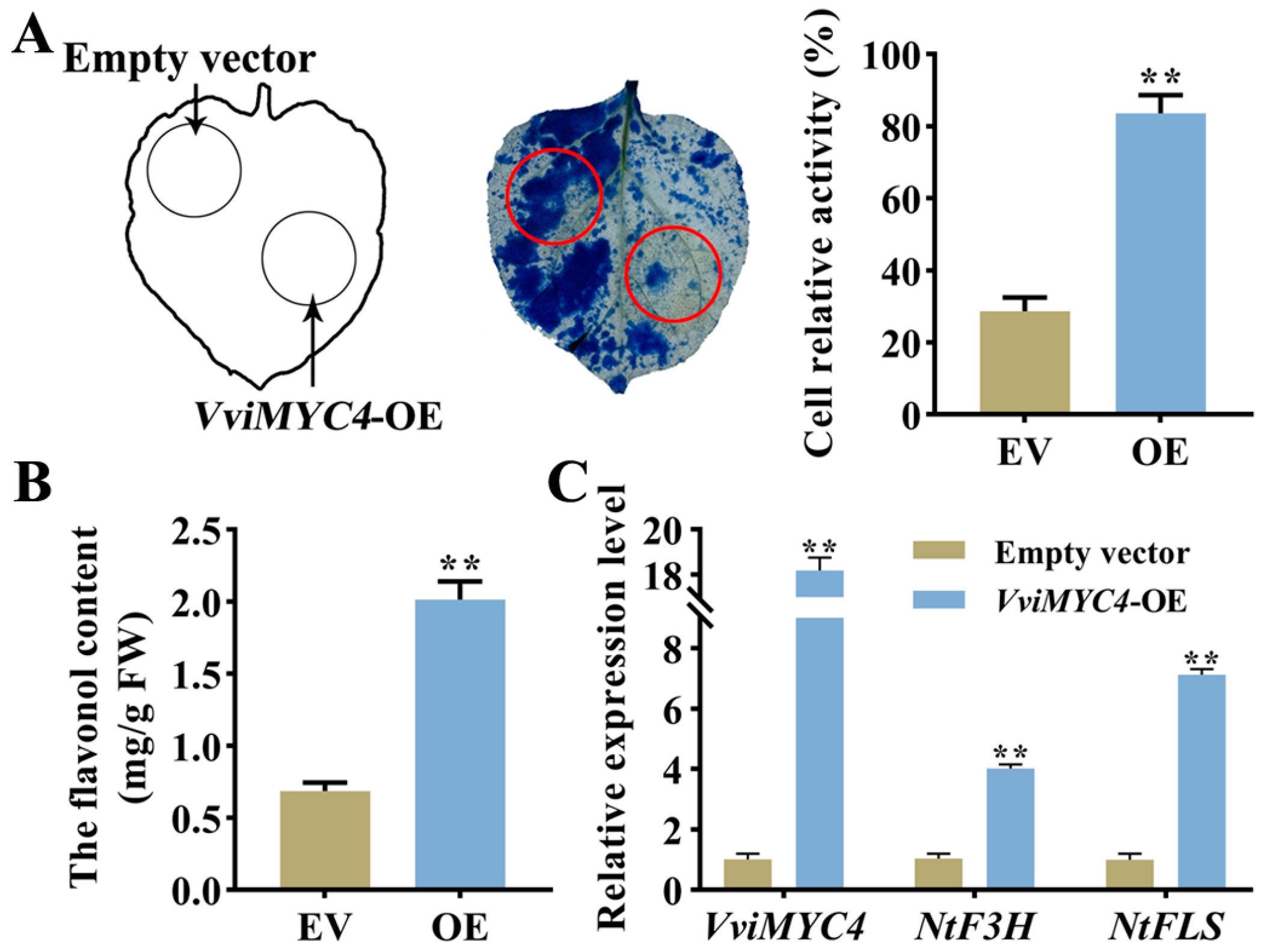 Plants 14 01409 g006