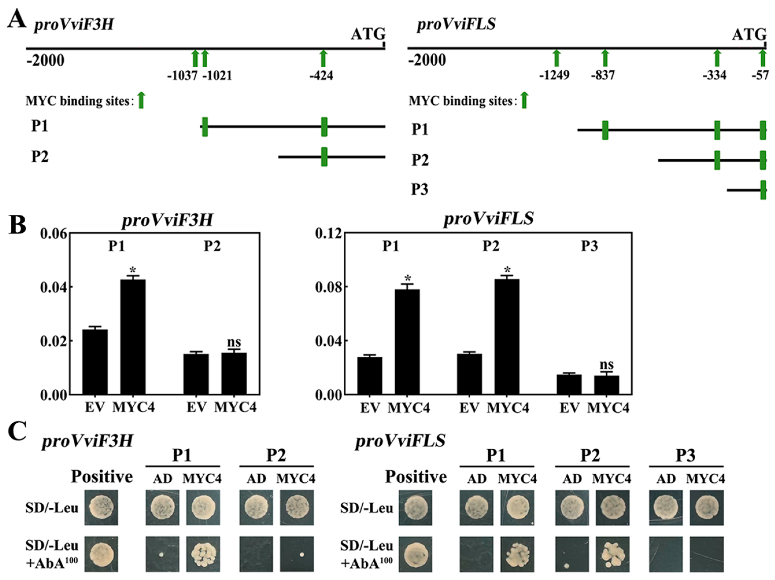 Plants 14 01409 g008