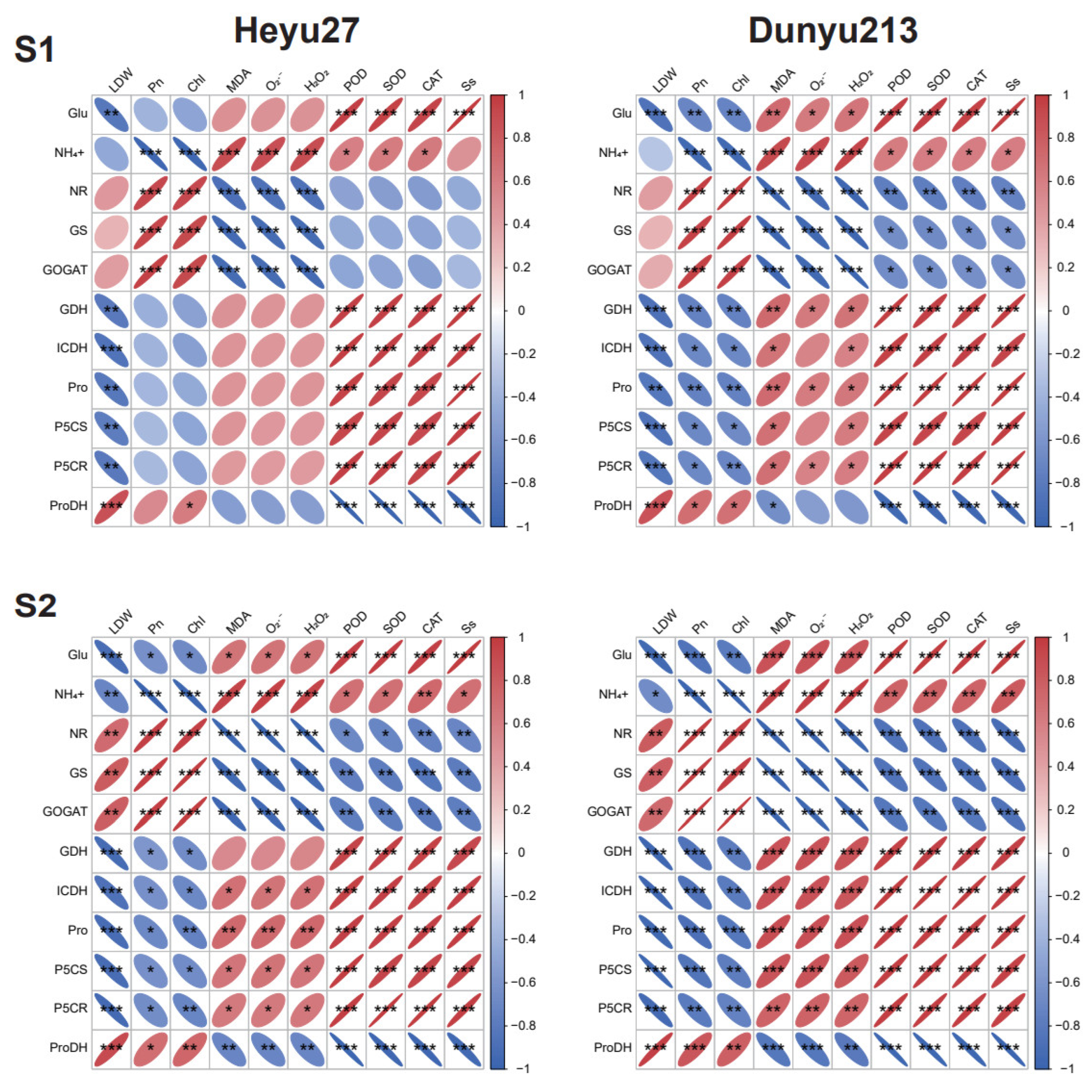 Plants 14 01415 g008