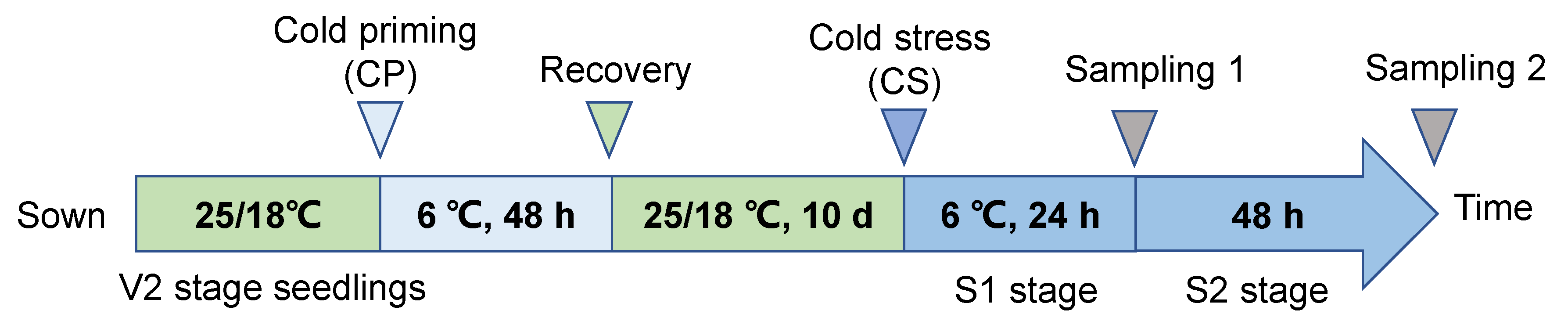 Plants 14 01415 g010