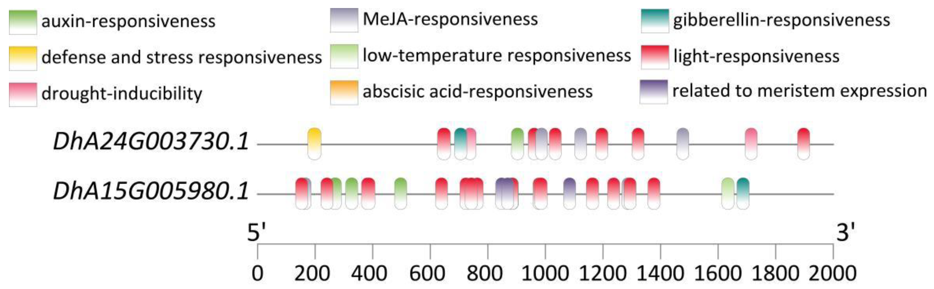 Plants 14 01416 g004