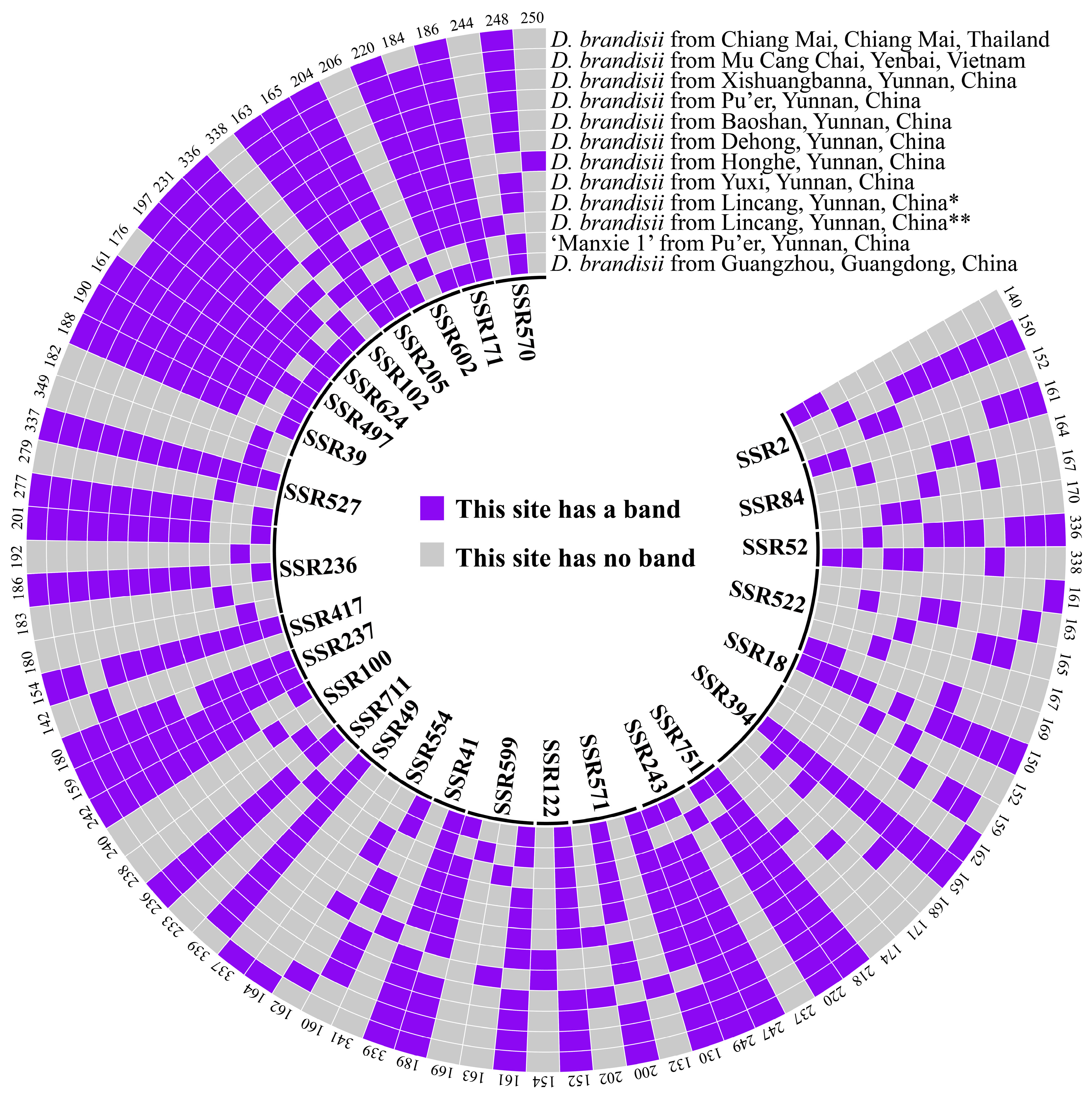 Plants 14 01416 g006