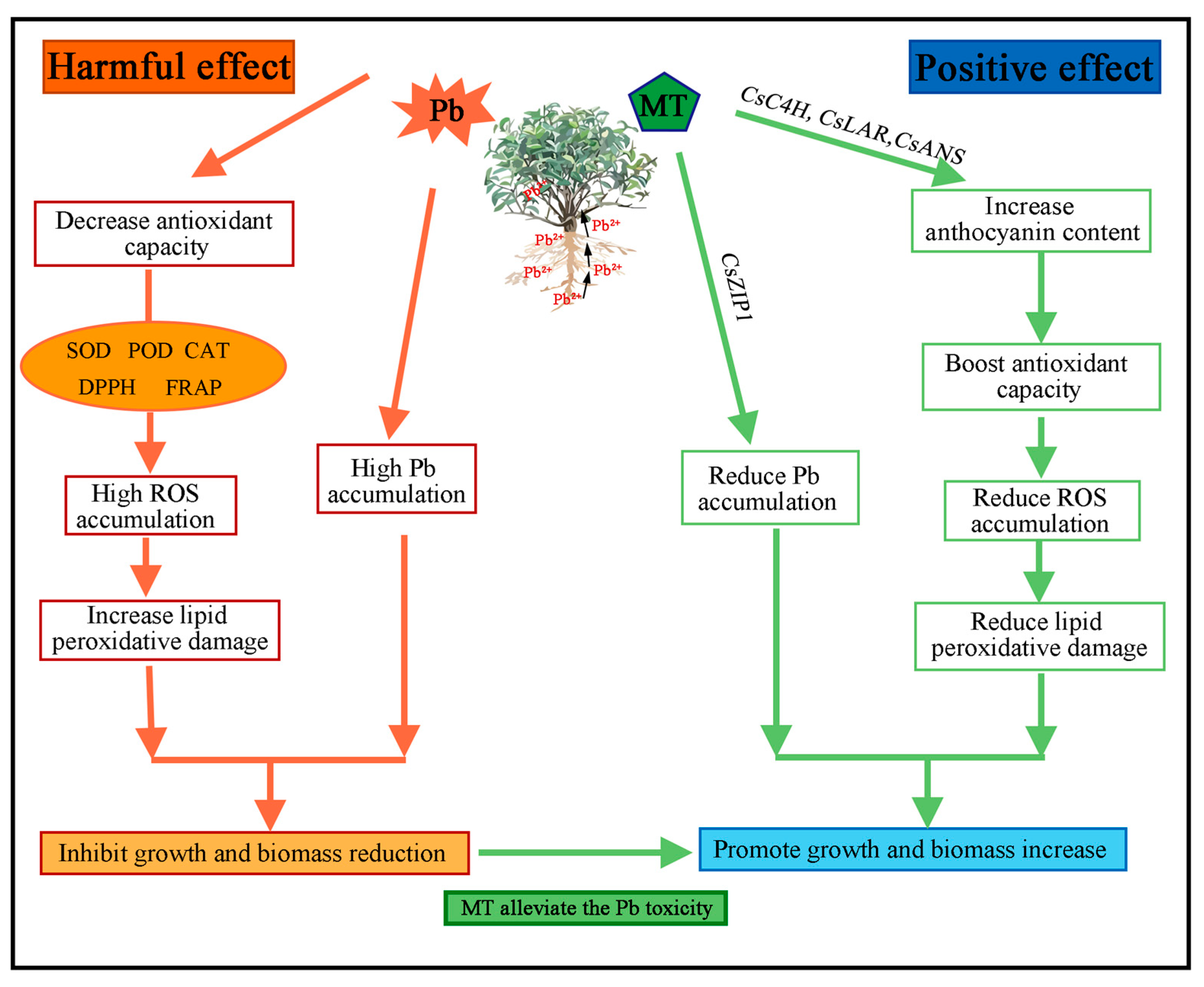 Plants 14 01417 g007