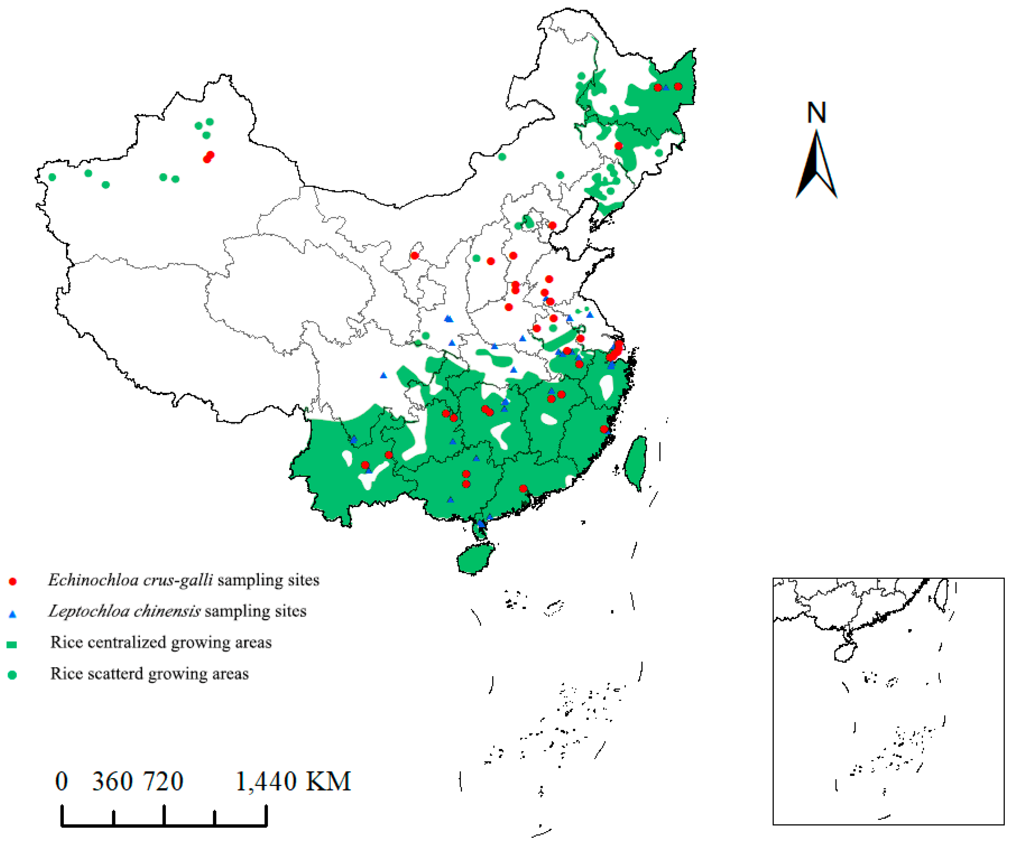 Plants 14 01425 g002