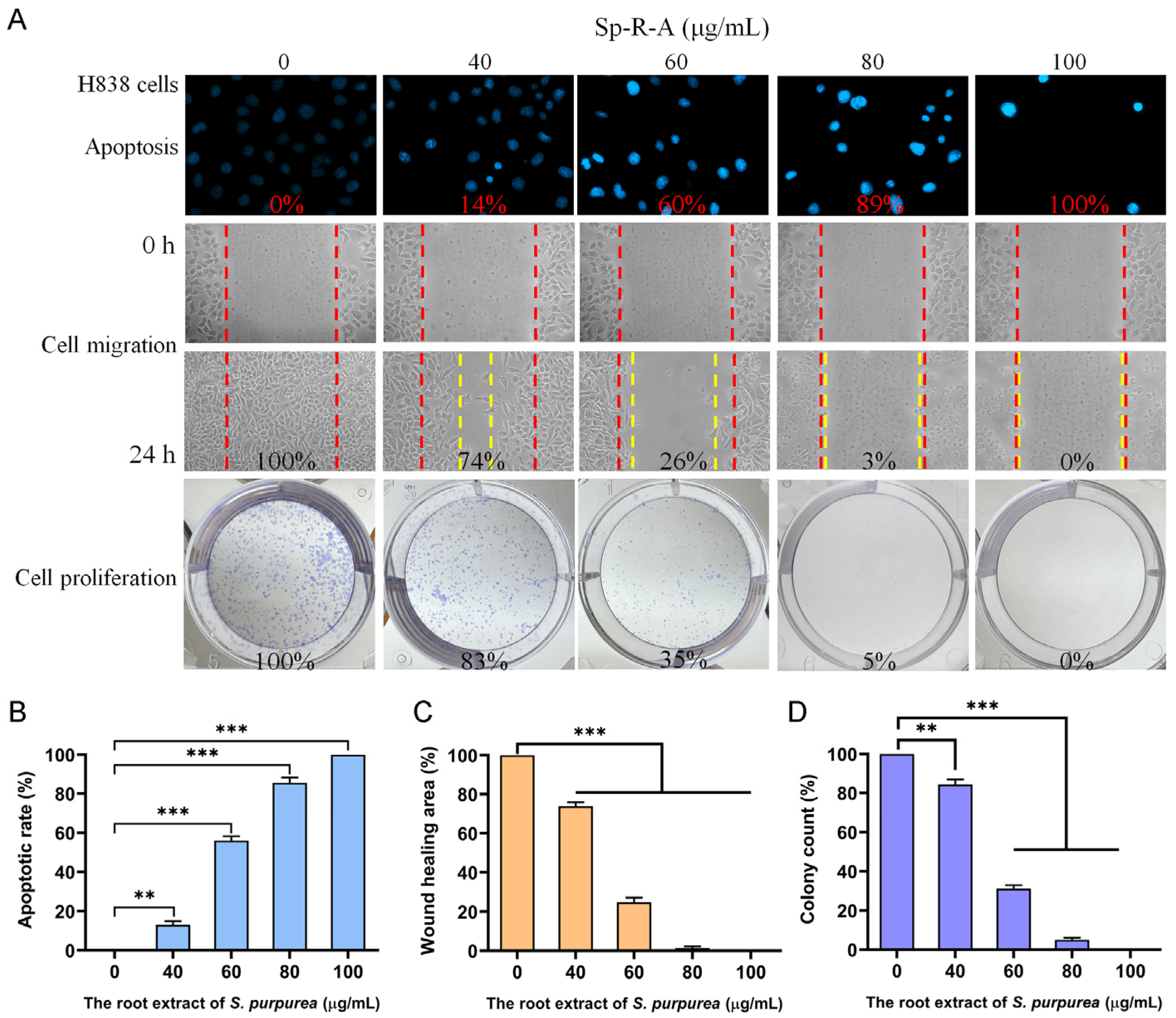 Plants 14 01426 g006