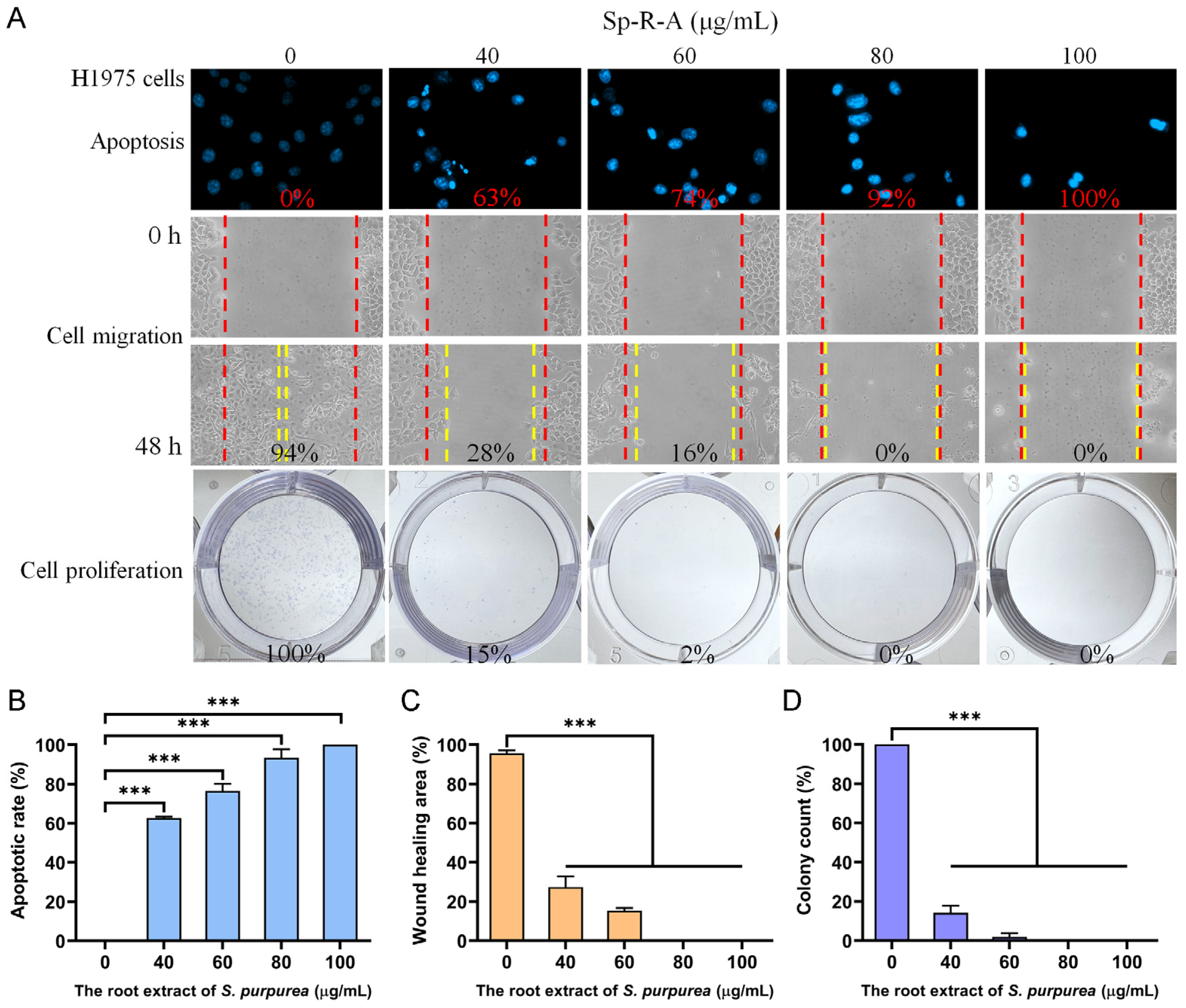 Plants 14 01426 g008