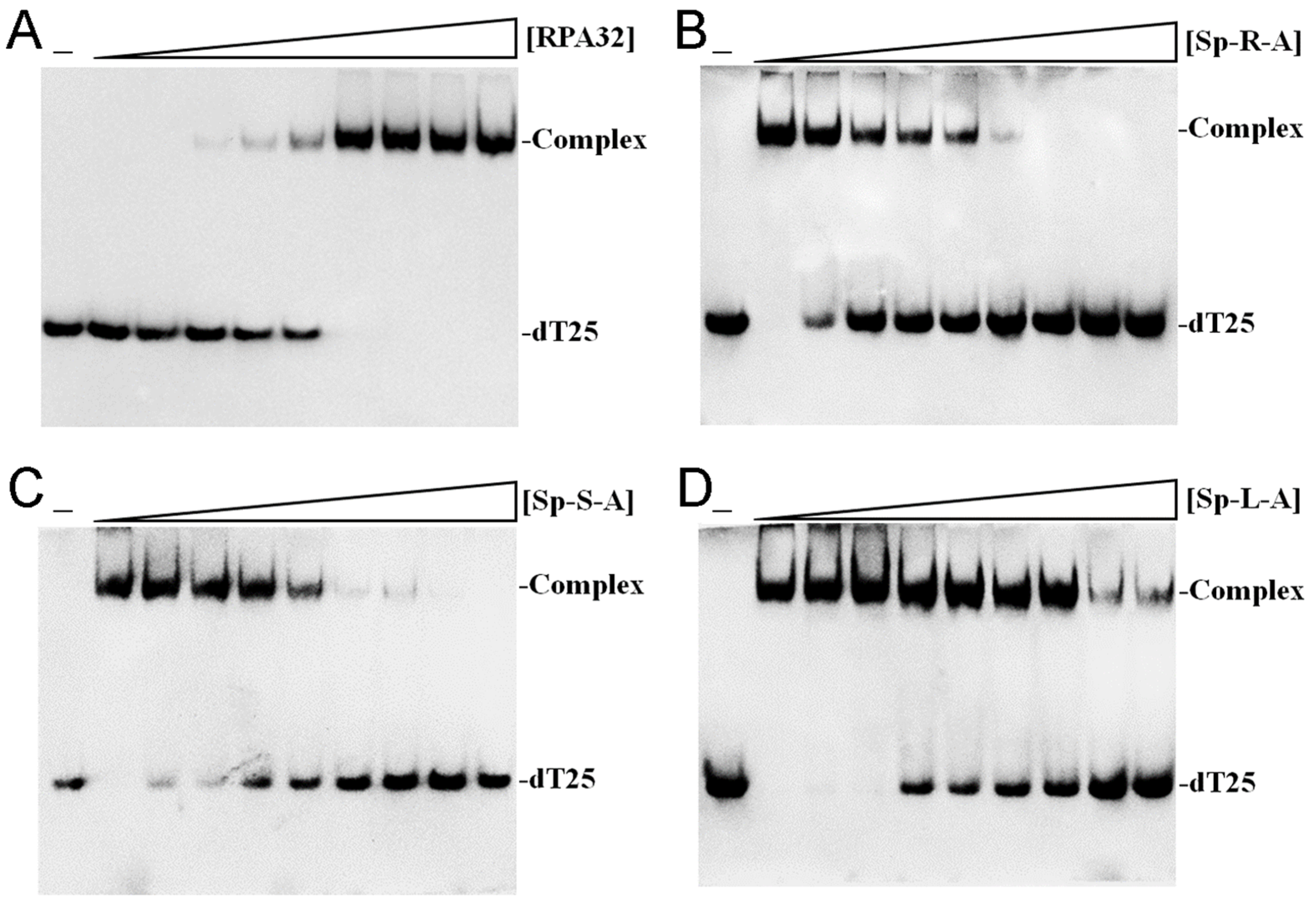 Plants 14 01426 g011