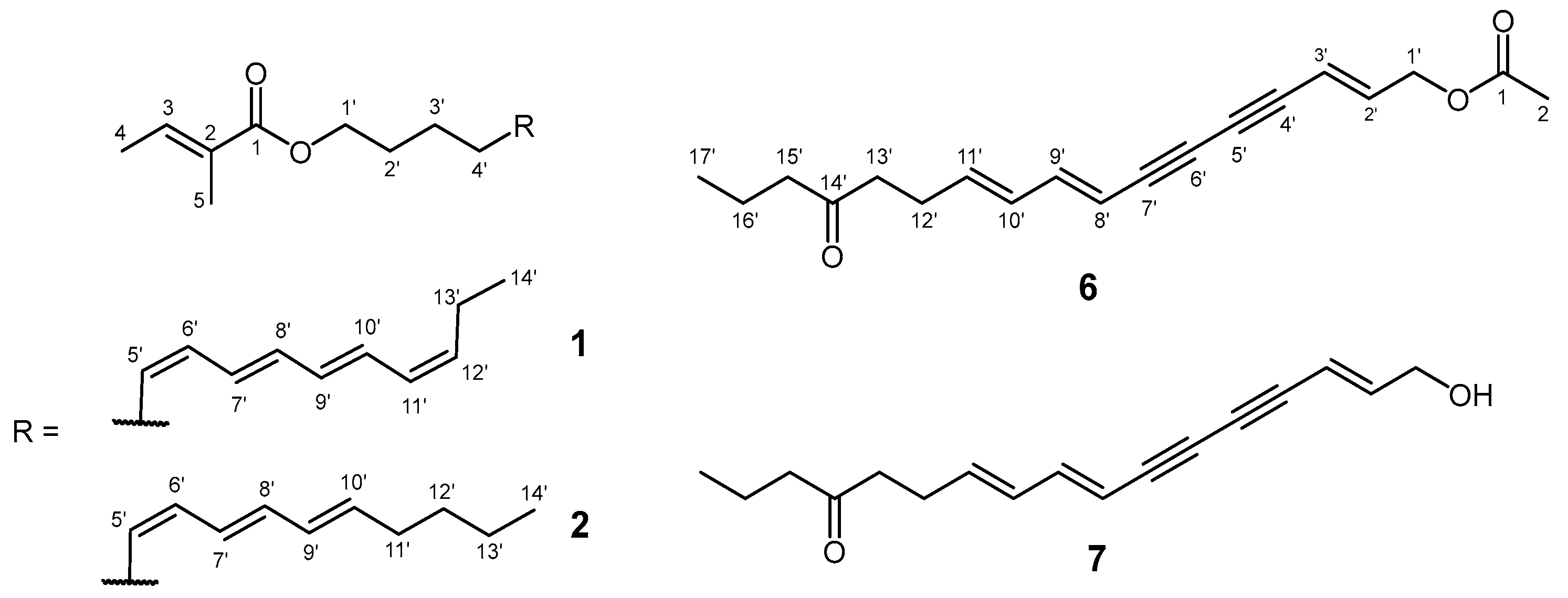 Plants 14 01432 g001