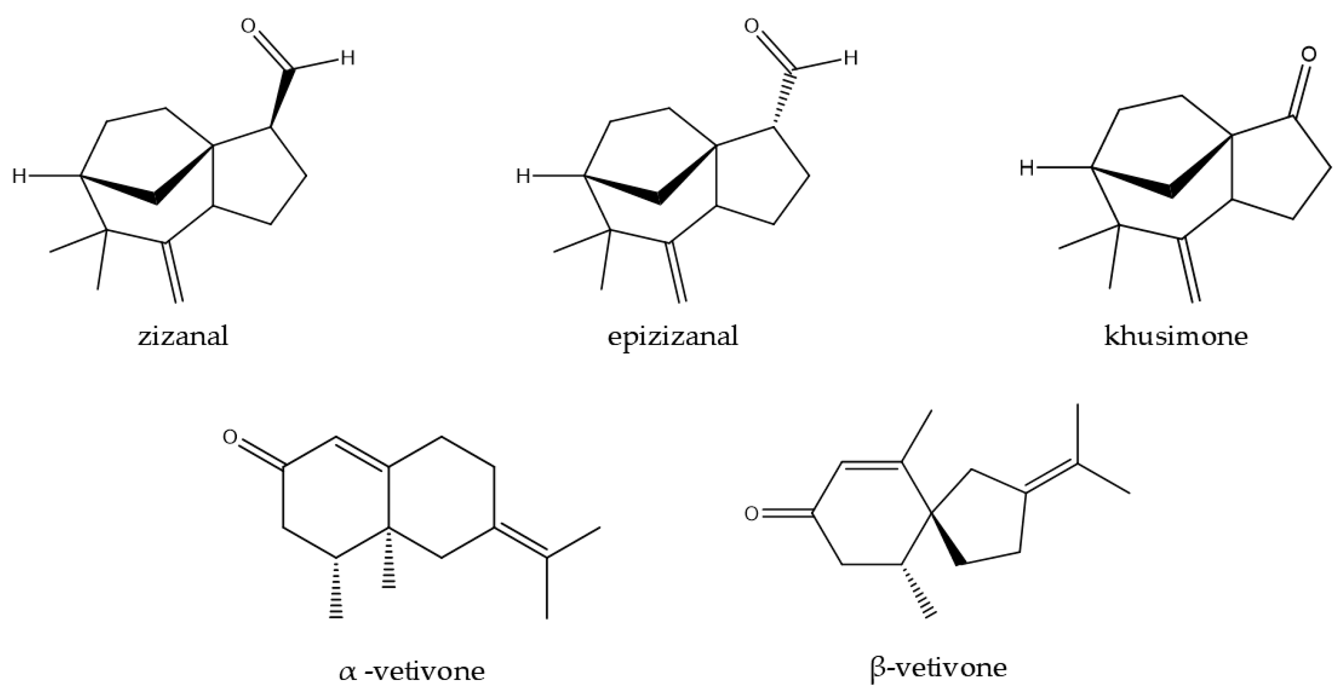 Plants 14 01435 g007 Plants 14 01435 g007
