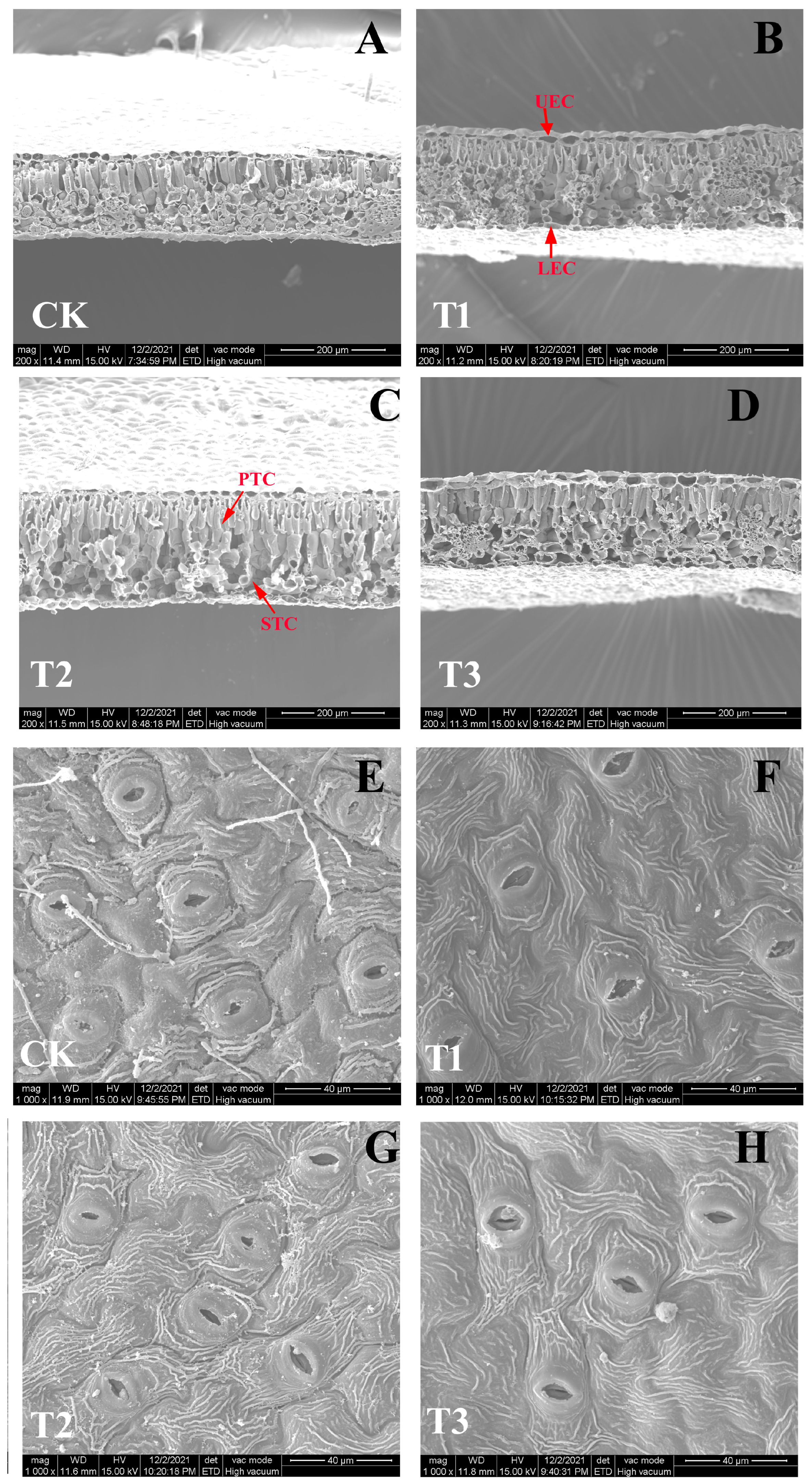 Plants 14 01444 g003