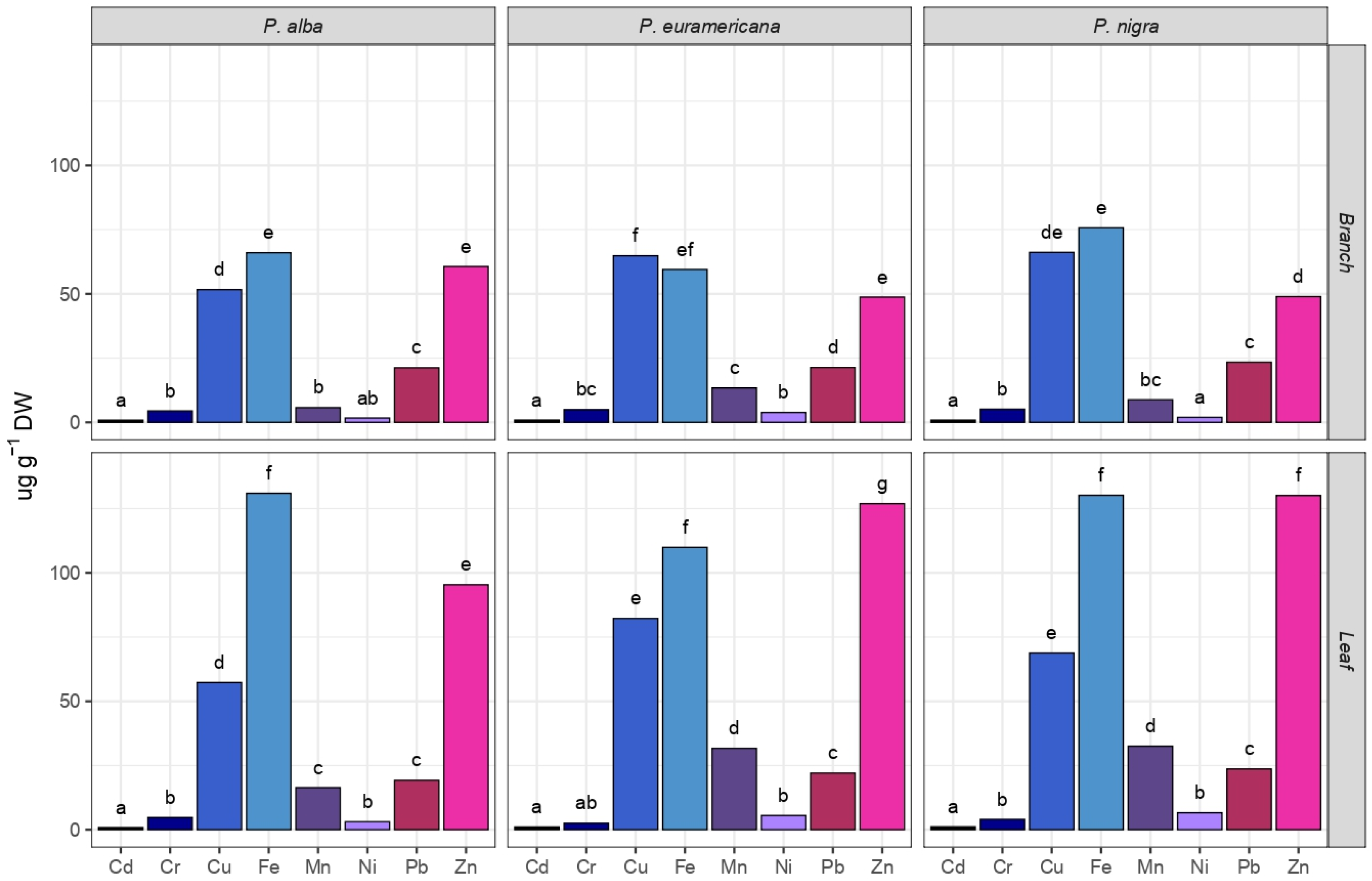 Plants 14 01445 g003