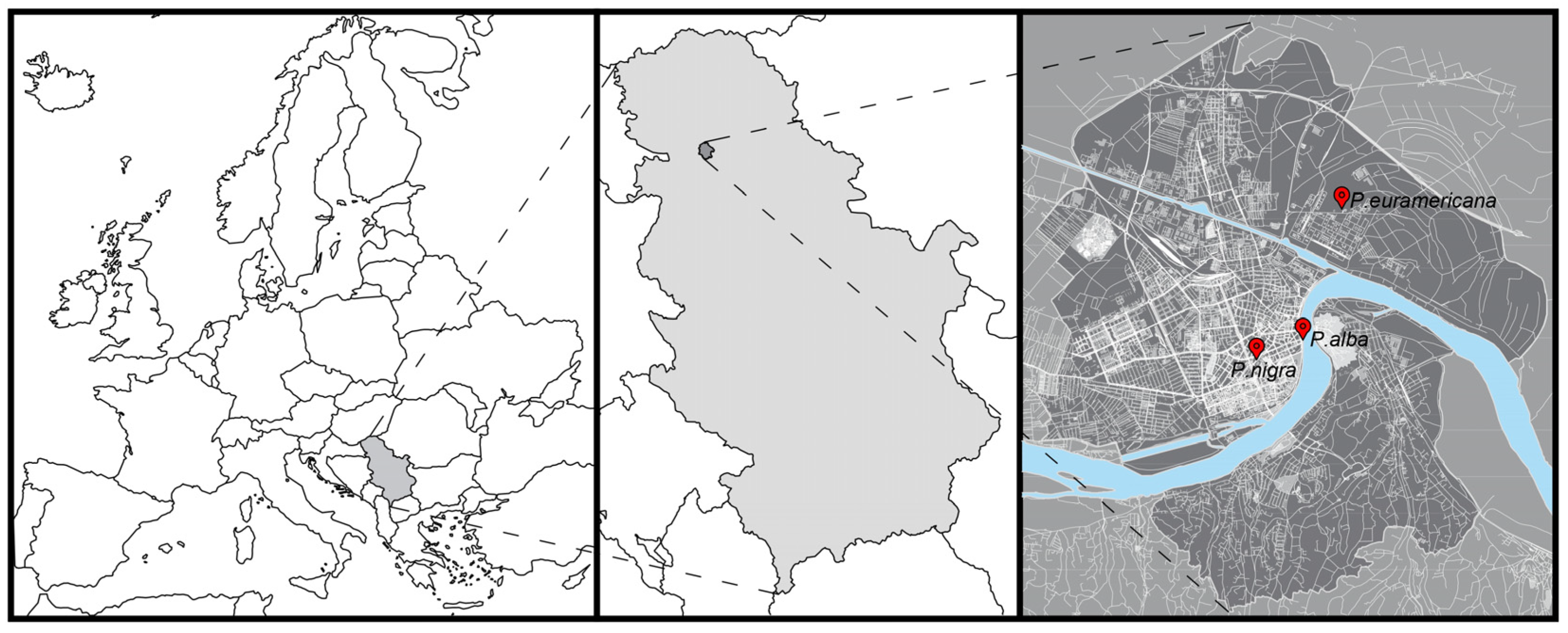 Plants 14 01445 g007