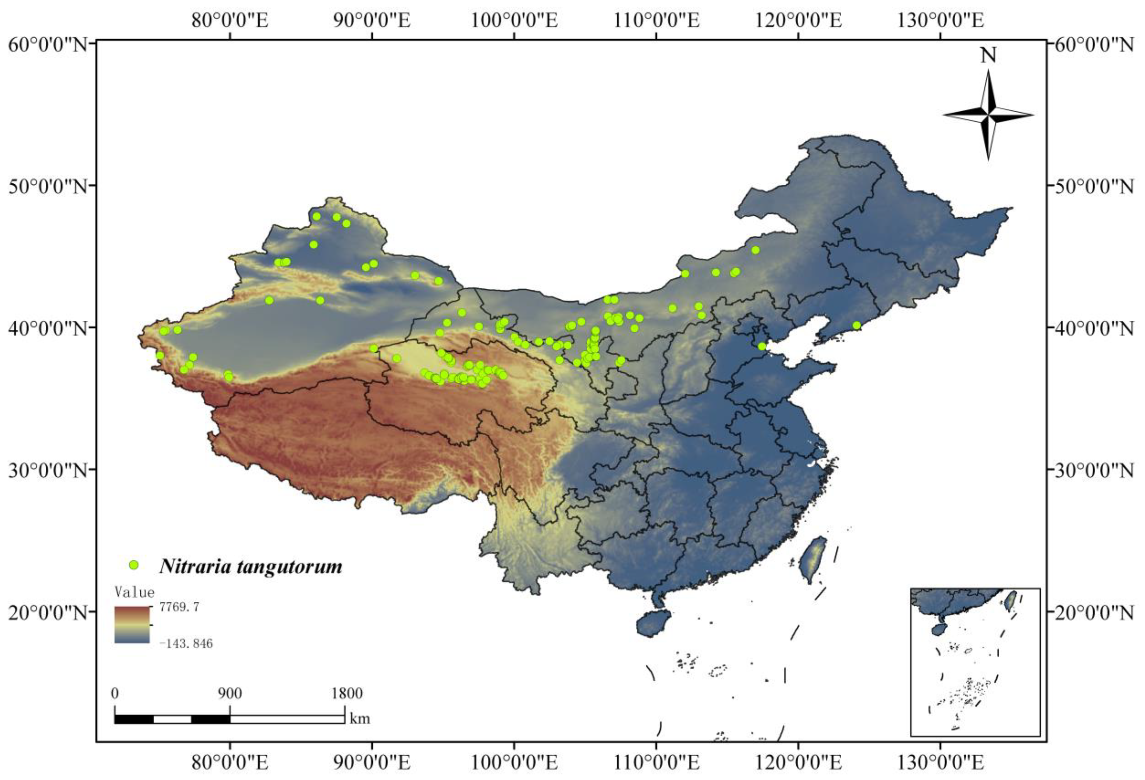 Plants 14 01446 g001 Plants 14 01446 g001